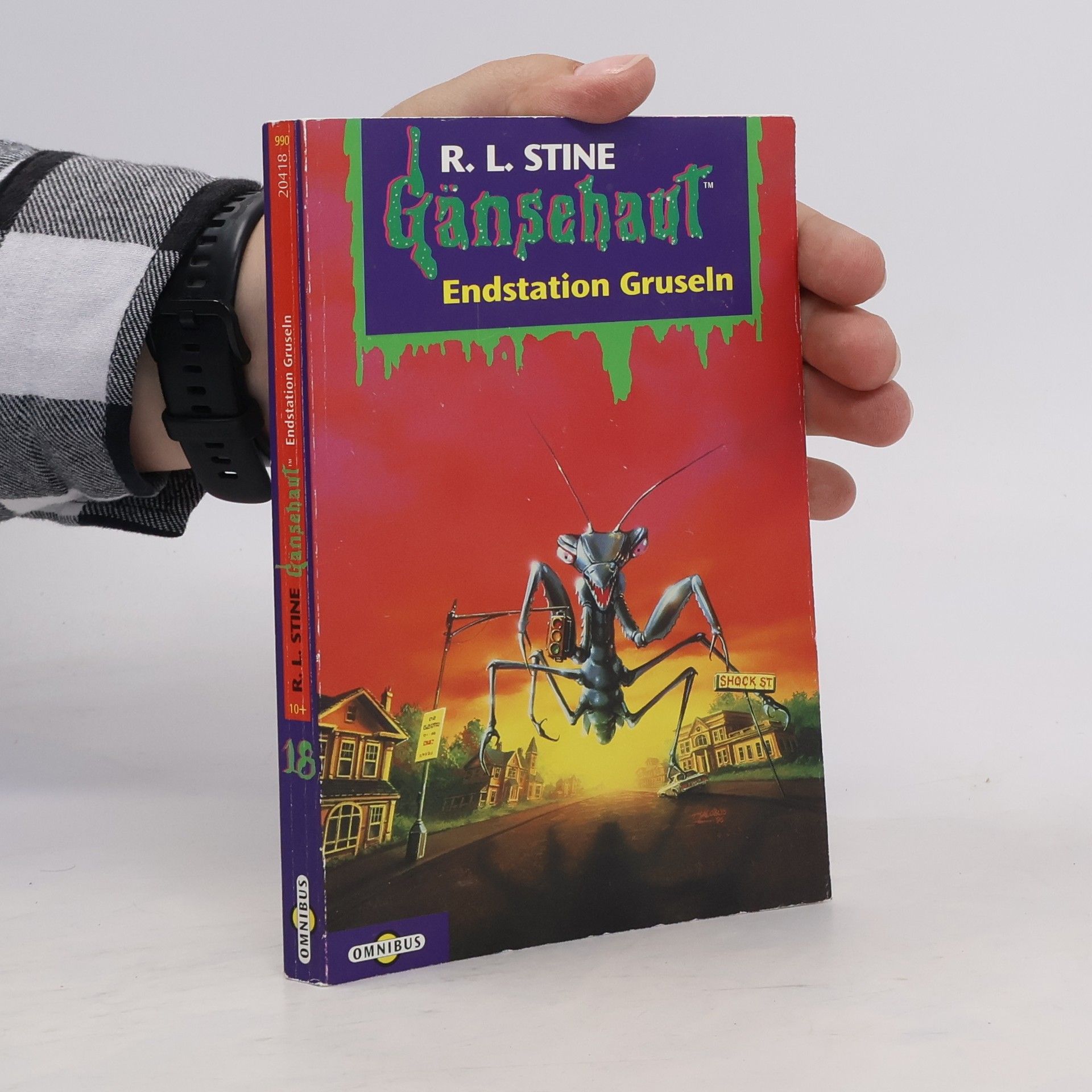 R. L. Stine Gänsehaut 18. Endstation Gruseln