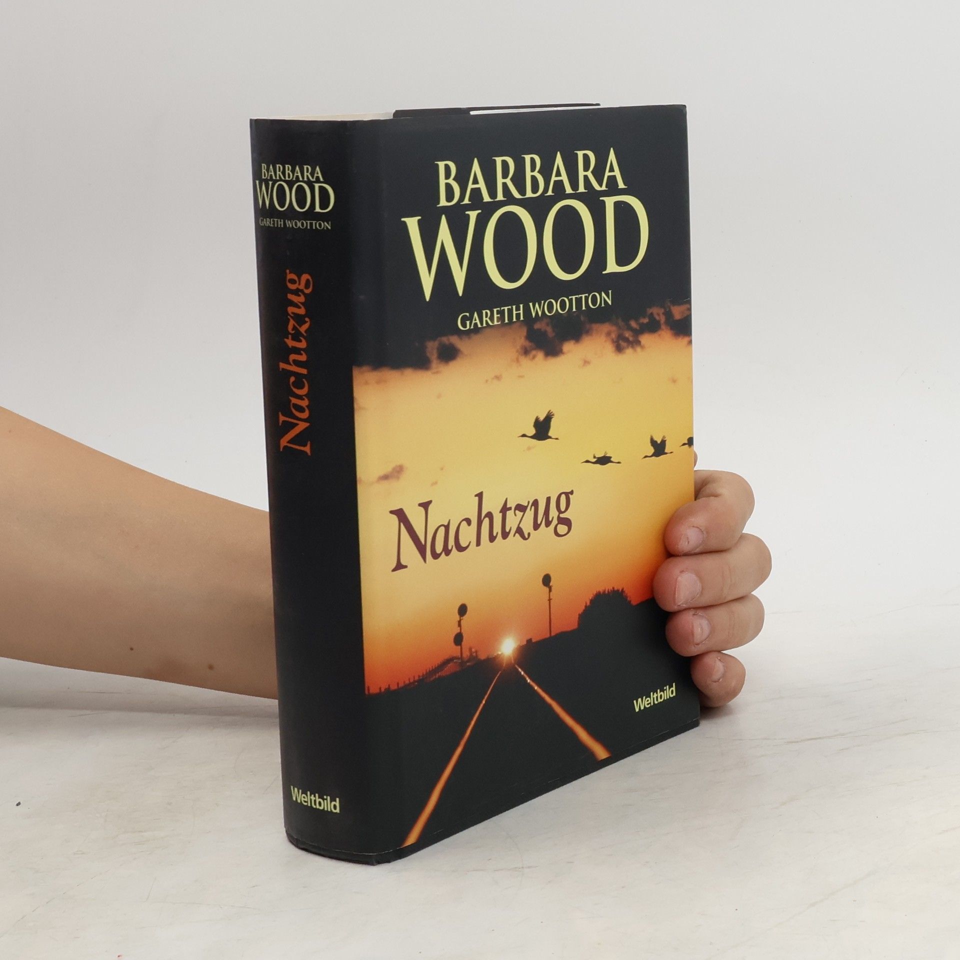 Barbara Wood Nachtzug