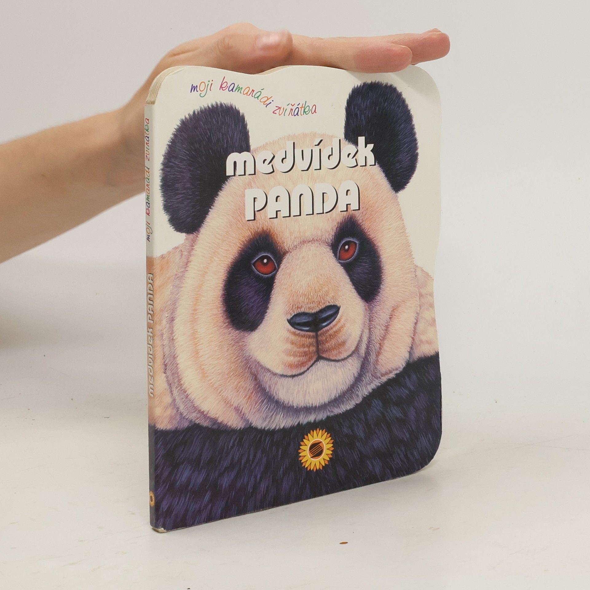 Consuelo Delgado Beistegui Medvídek panda