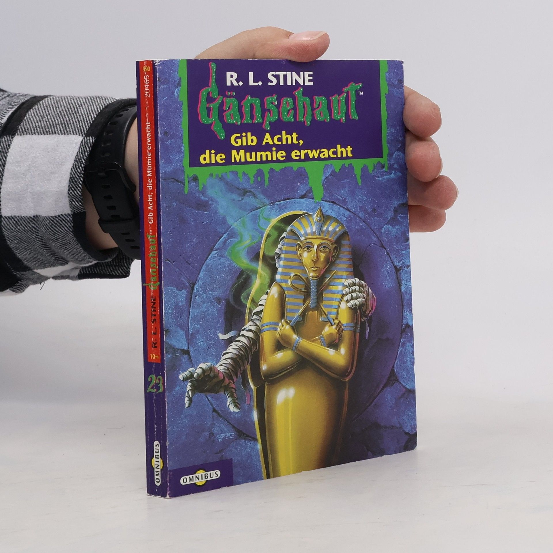 R. L. Stine Gänsehaut 23. Gib Acht, die Mumie erwacht