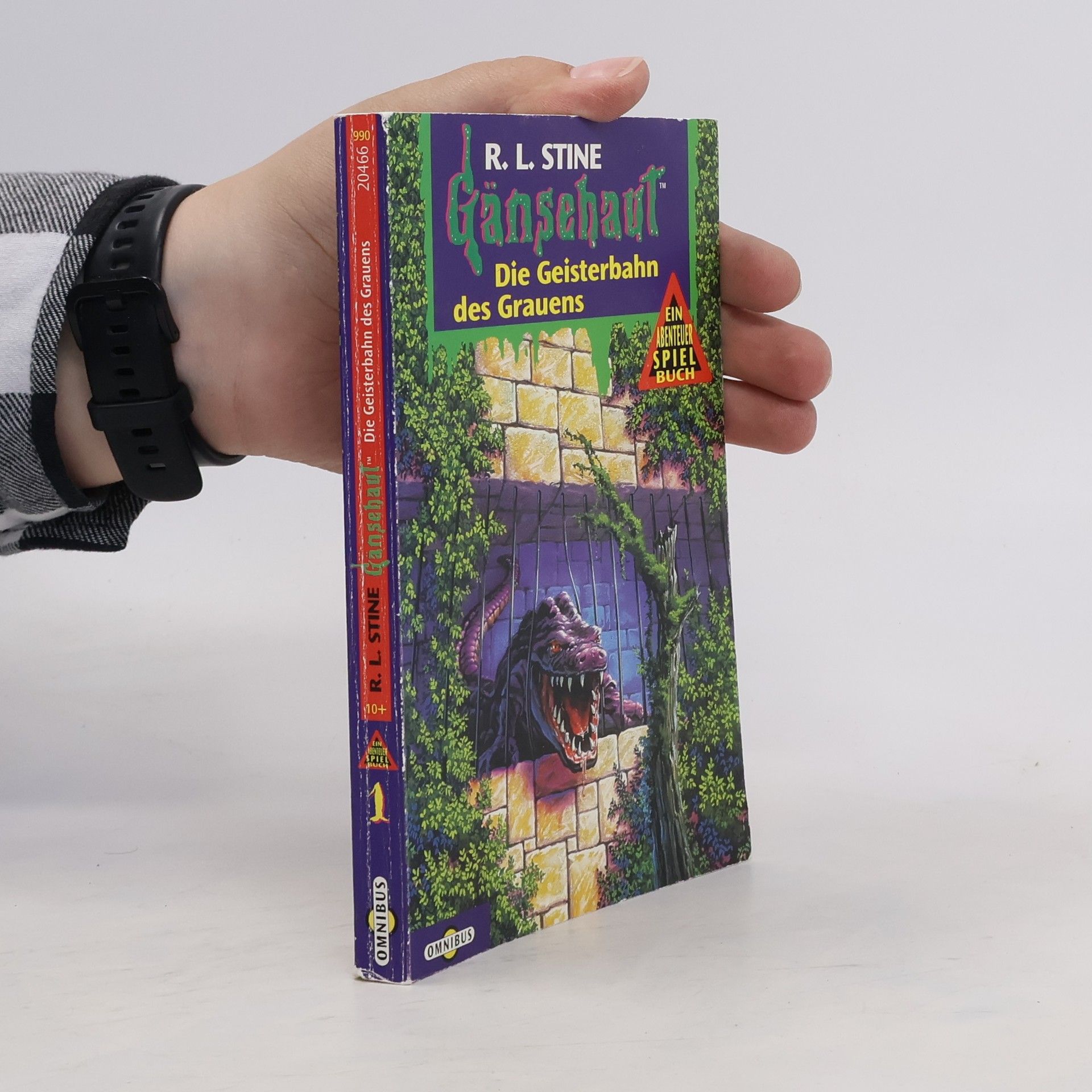 R. L. Stine Gänsehaut: Die Geisterbahn des Grauens