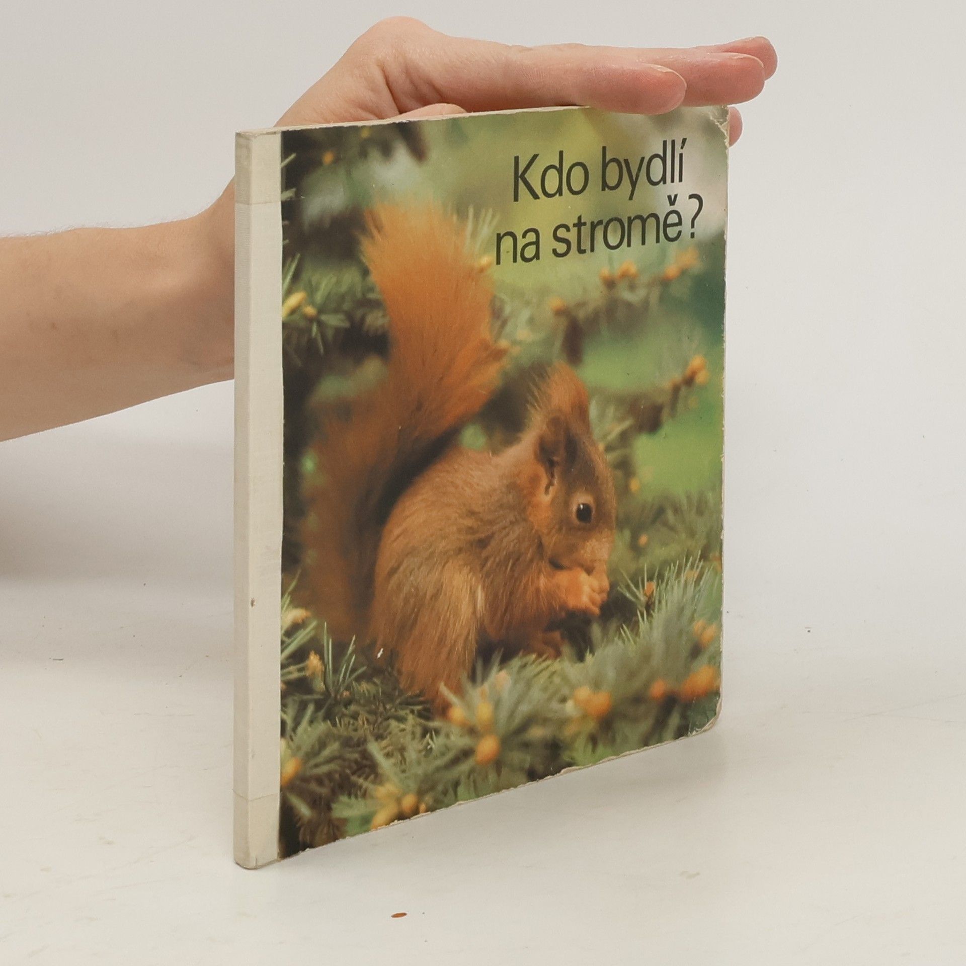 Autorenkollektiv Kdo bydlí na stromě?
