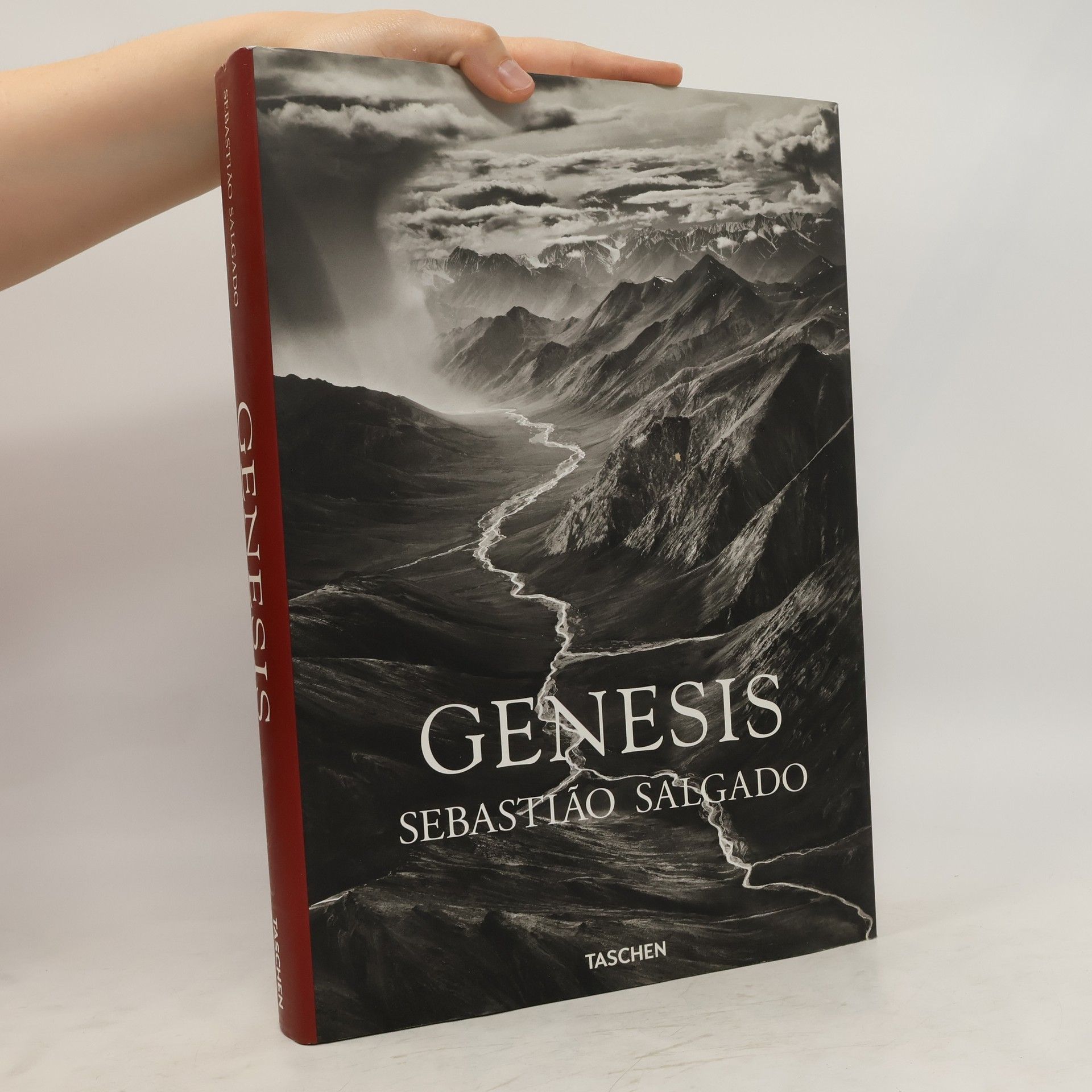 Sebastião Salgado Genesis