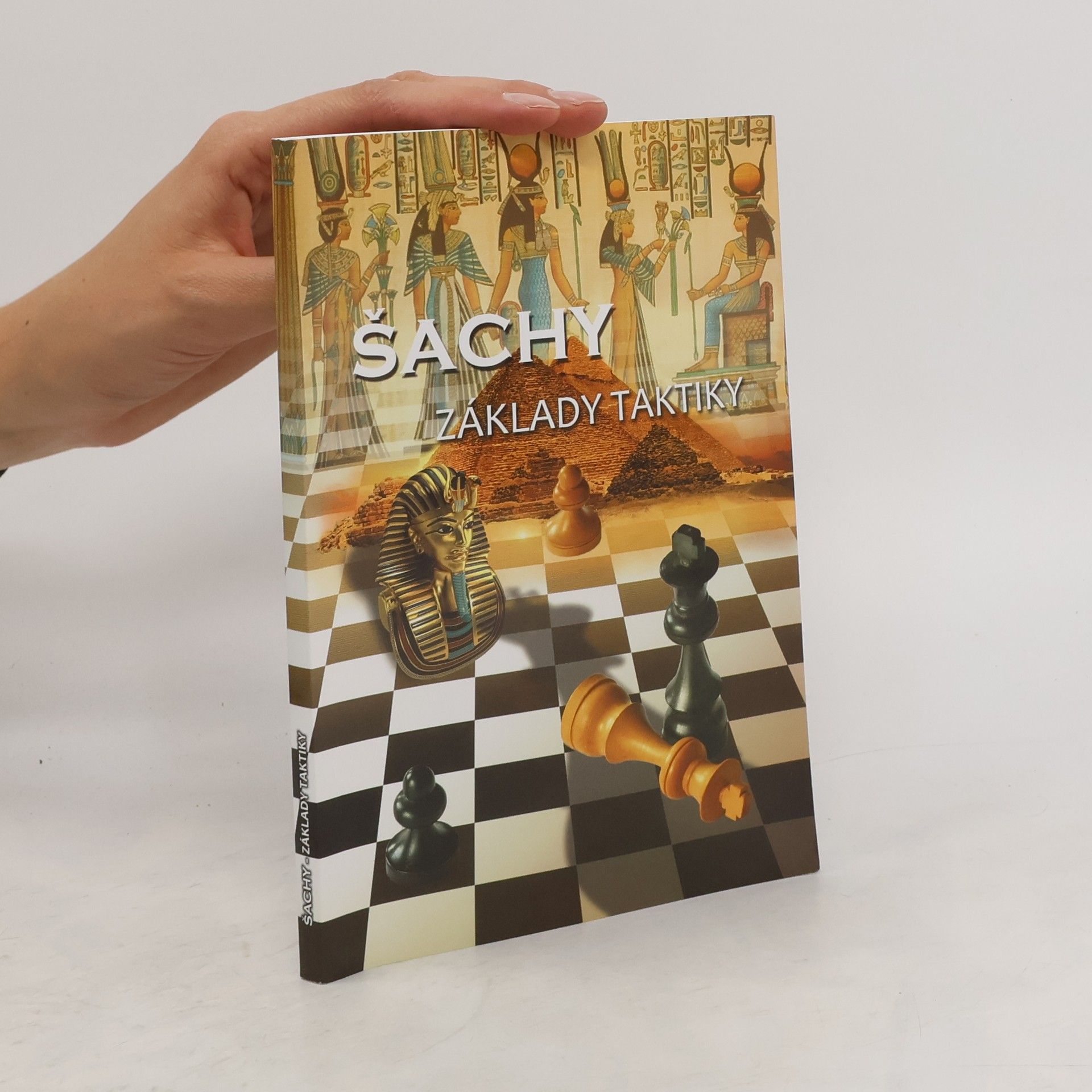 Richard Biolek Šachy - Základy taktiky