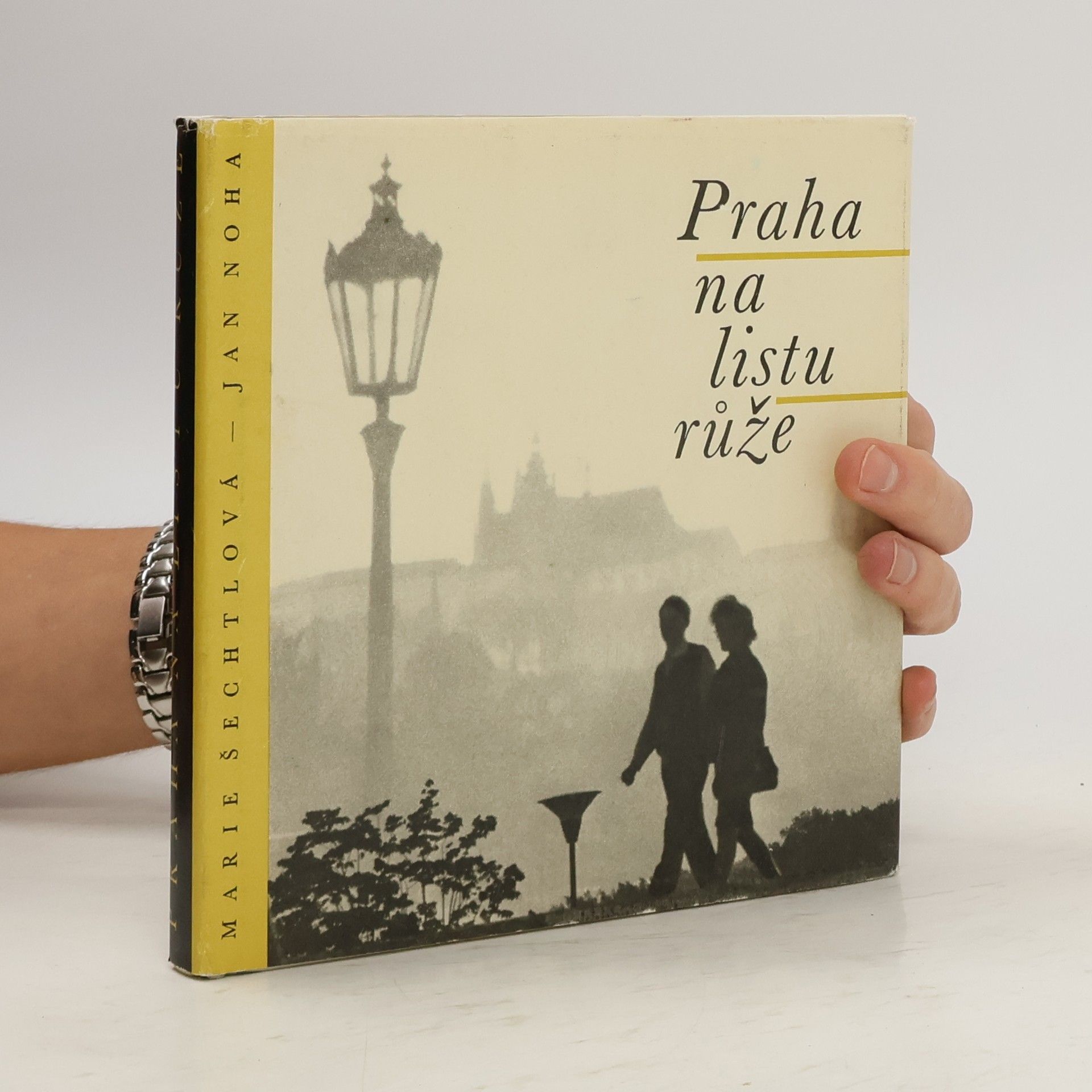 Marie Šechtlová Praha na listu růže