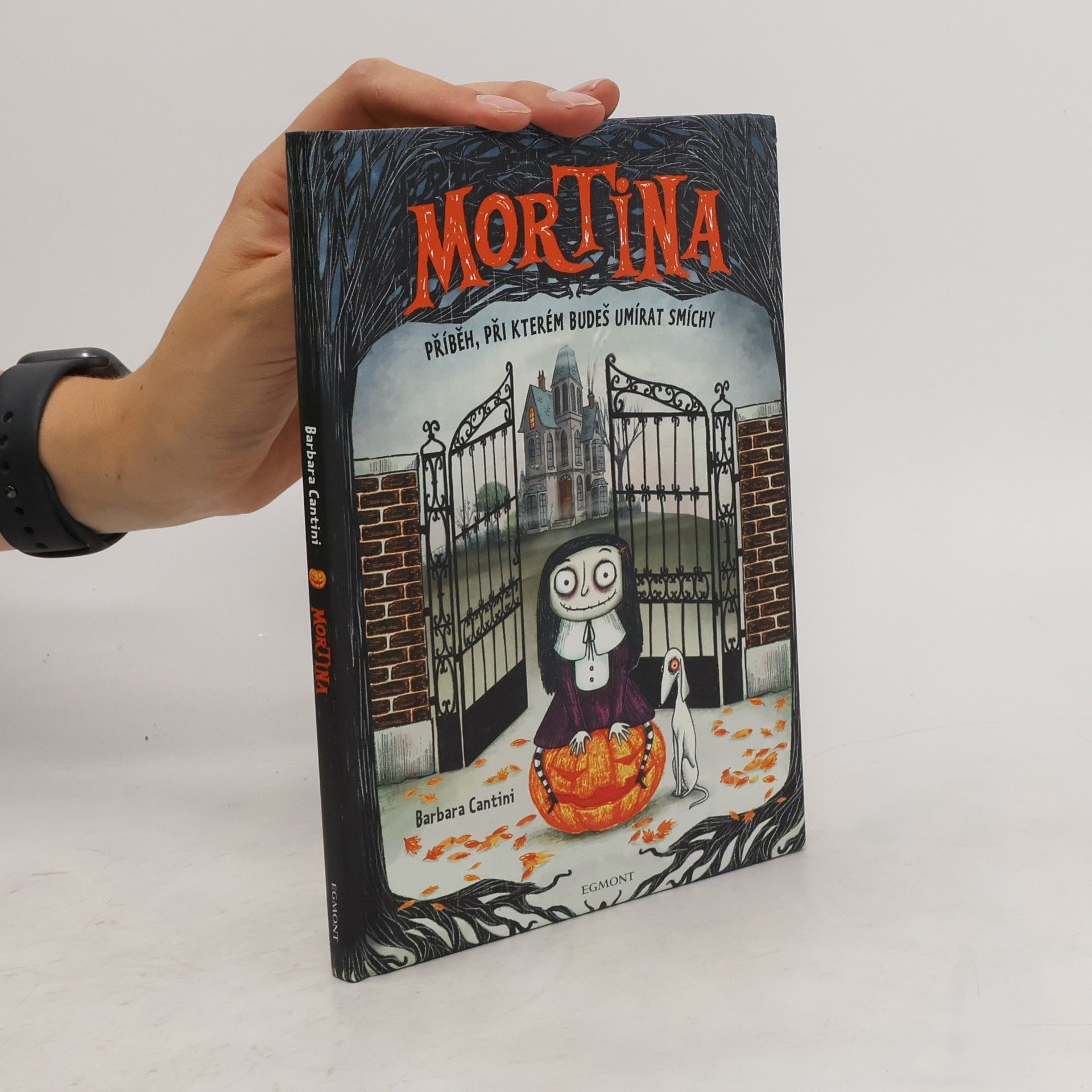 Barbara Cantini Mortina