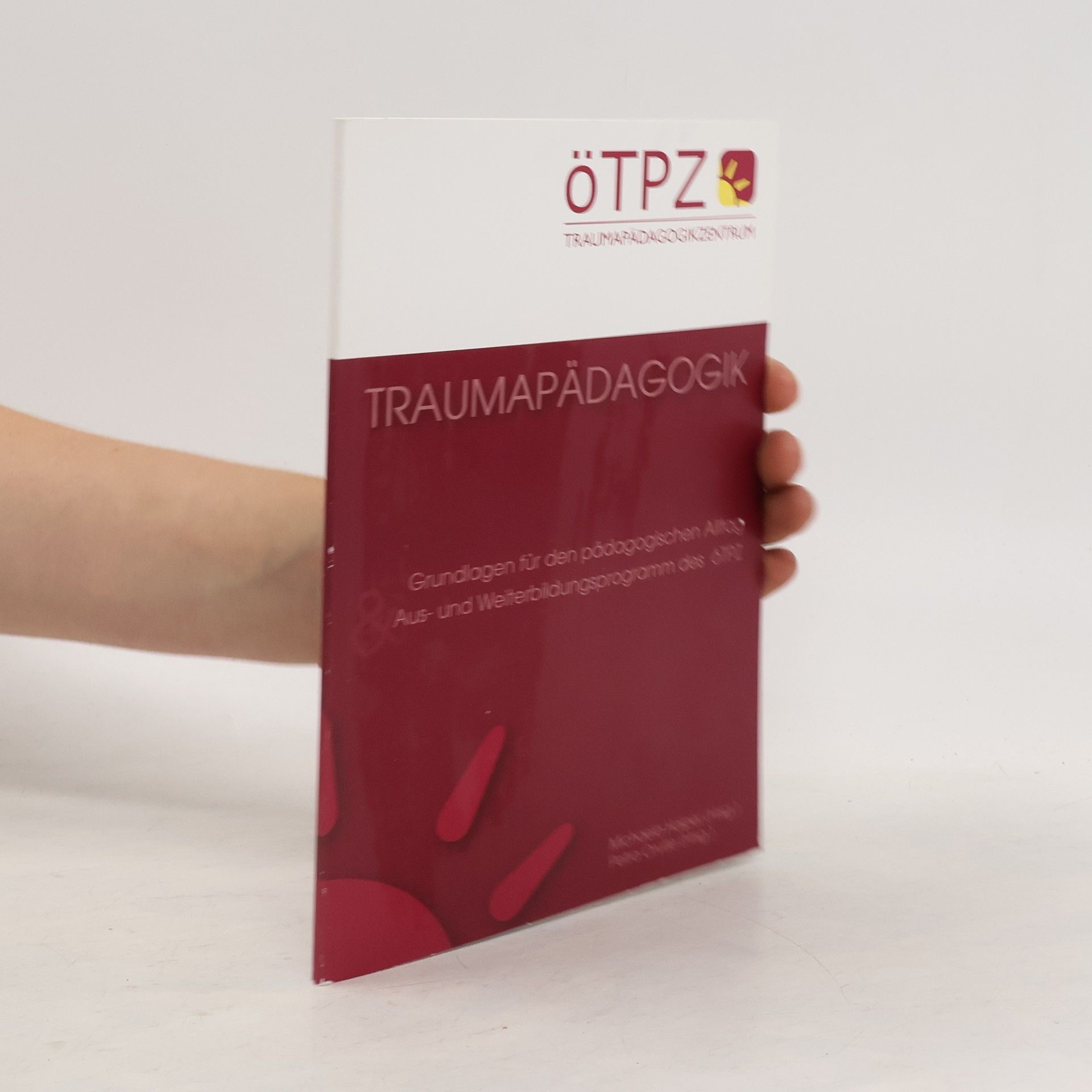 Collectif d'auteurs Traumapädagogik. Grundlagen für den pädagogischen Alltag. Aus- und Weiterbildungsprogramm des ÖTPZ