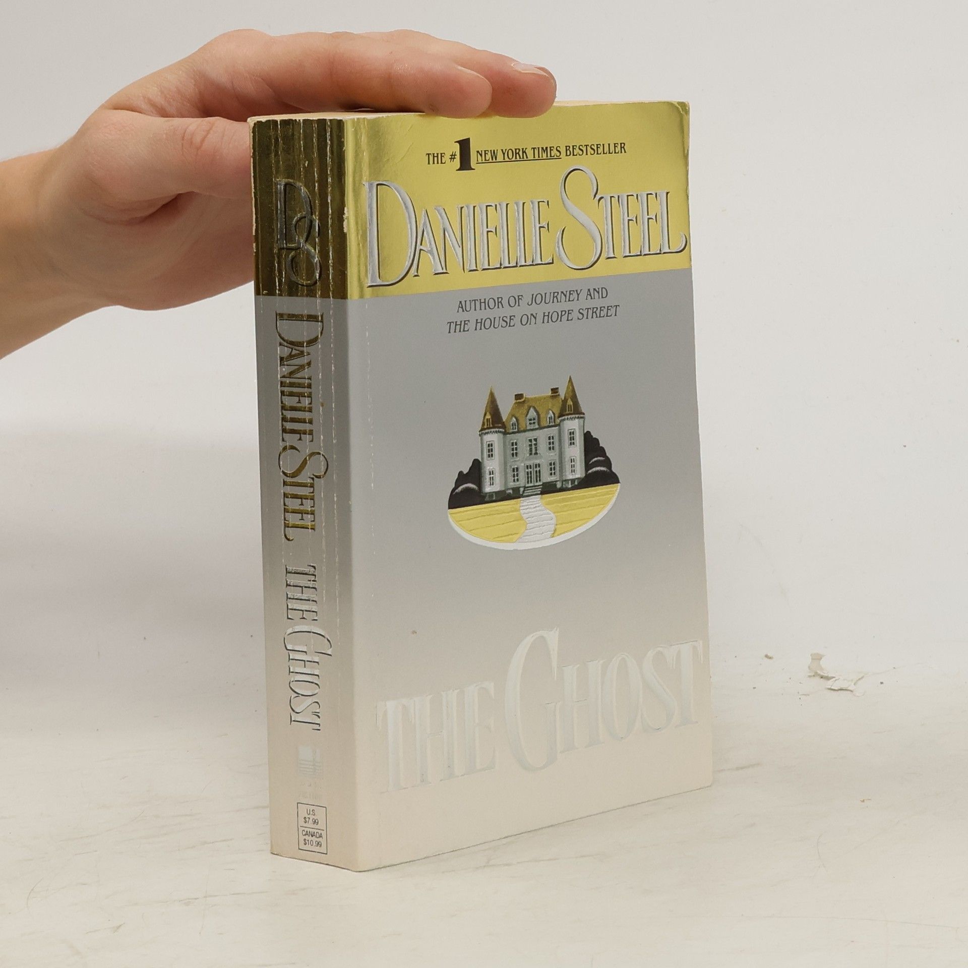 Danielle Steel The Ghost