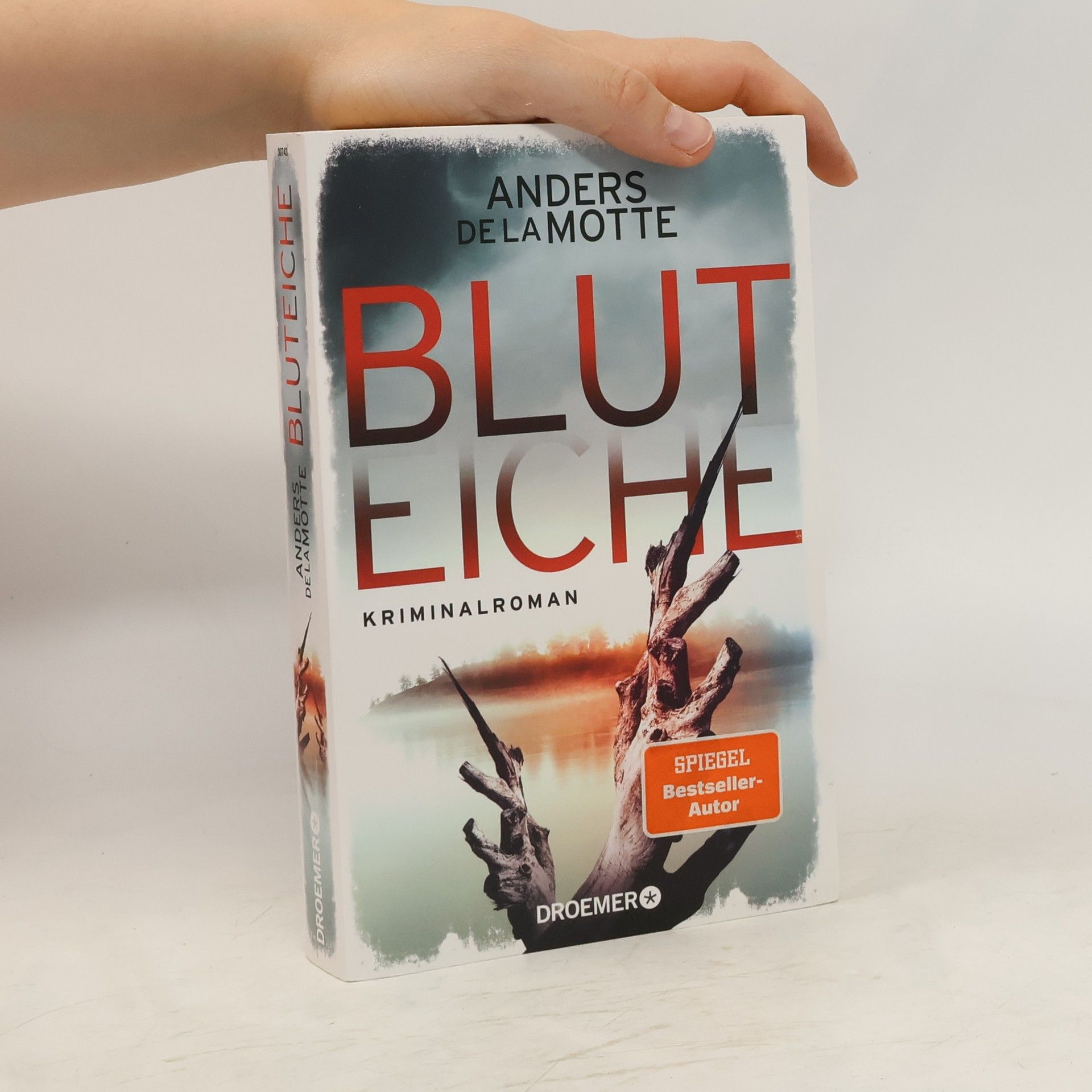 Anders De la Motte Bluteiche