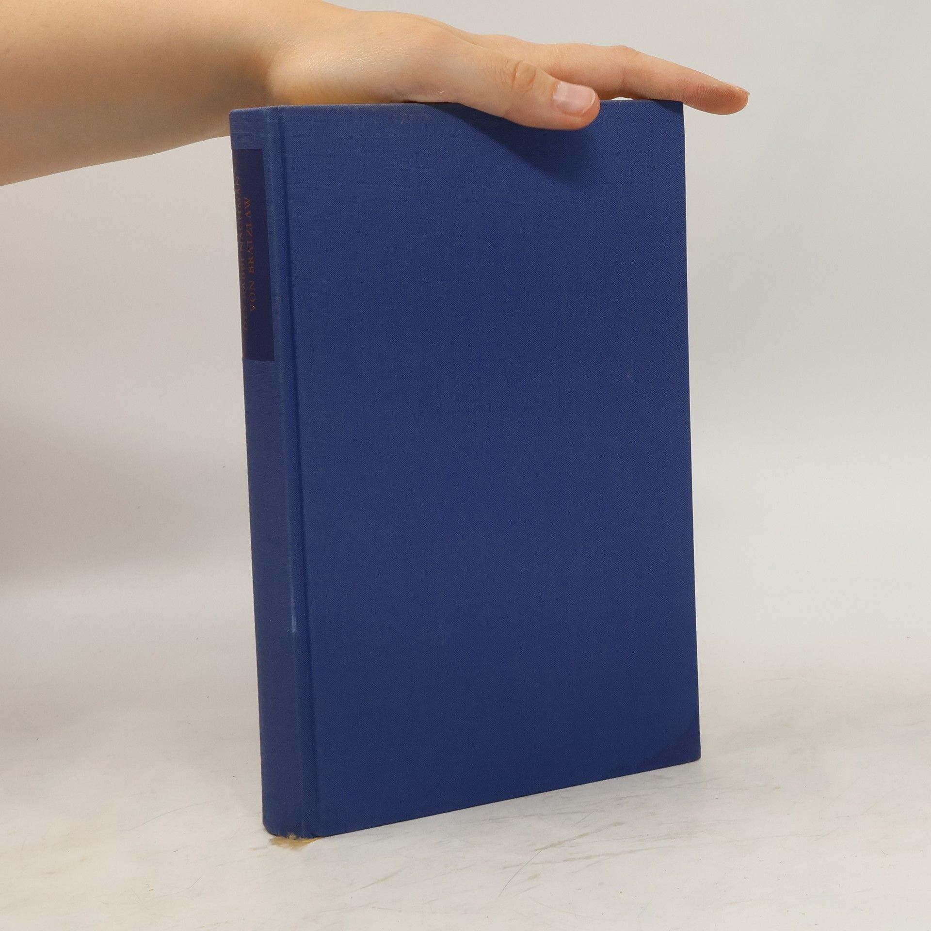 Die Erzählungen des Rabbi Nachman von Bratzlaw