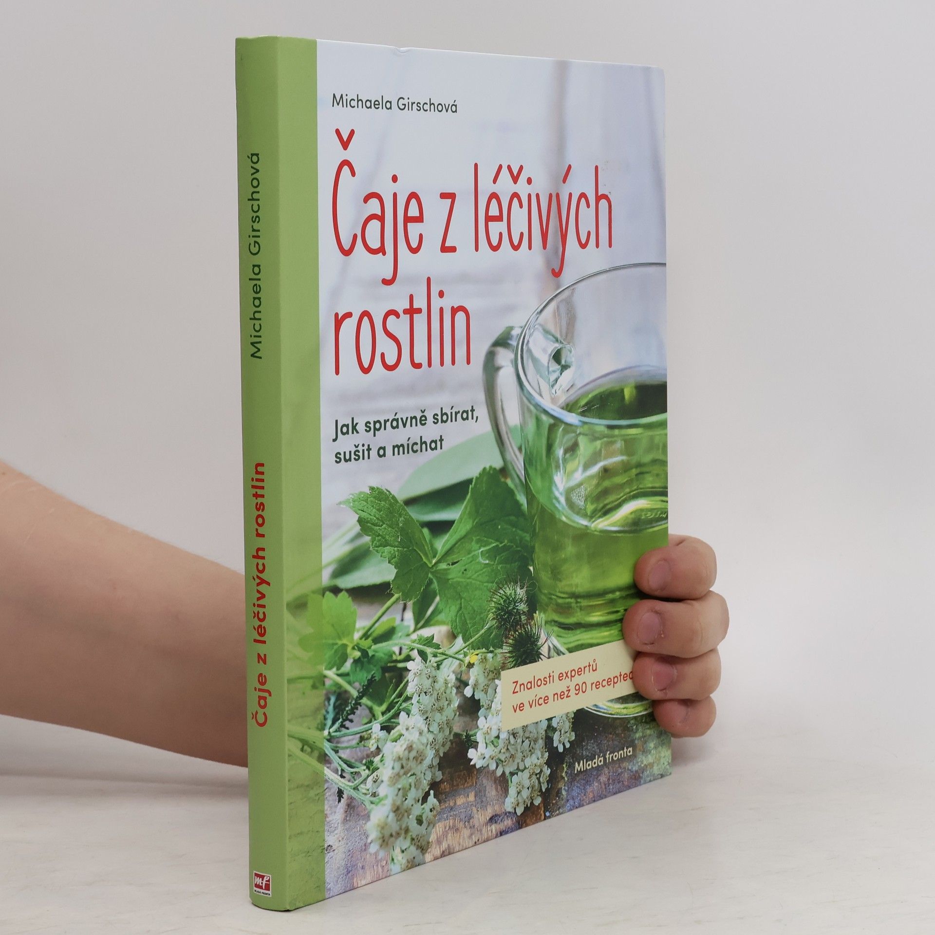 Michaela Girsch Čaje z léčivých rostlin: Znalosti expertů ve více než 90 receptech
