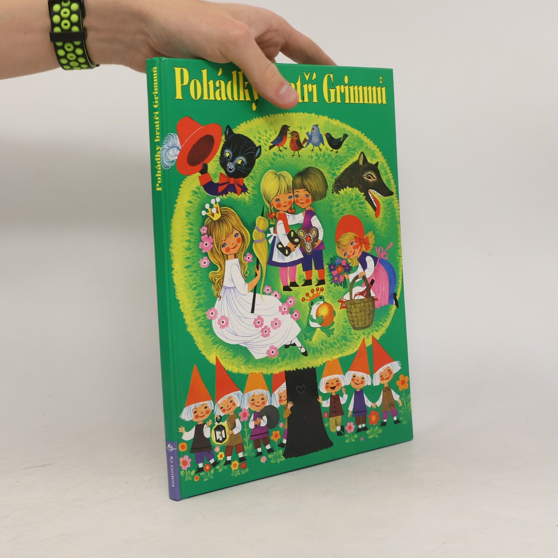 Jacob Grimm Pohádky bratří Grimmů