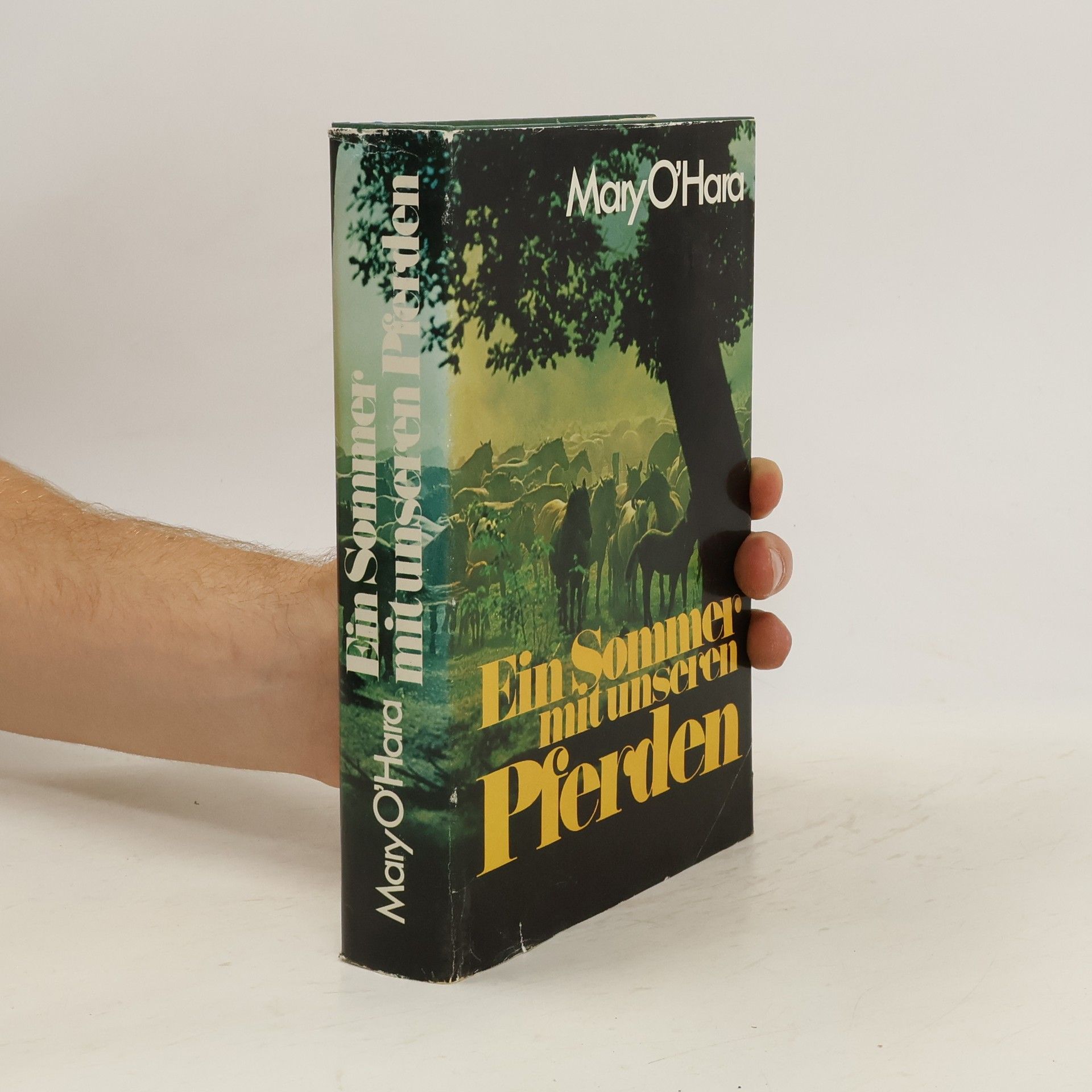 Mary O'Hara Ein Sommer mit unseren Pferden