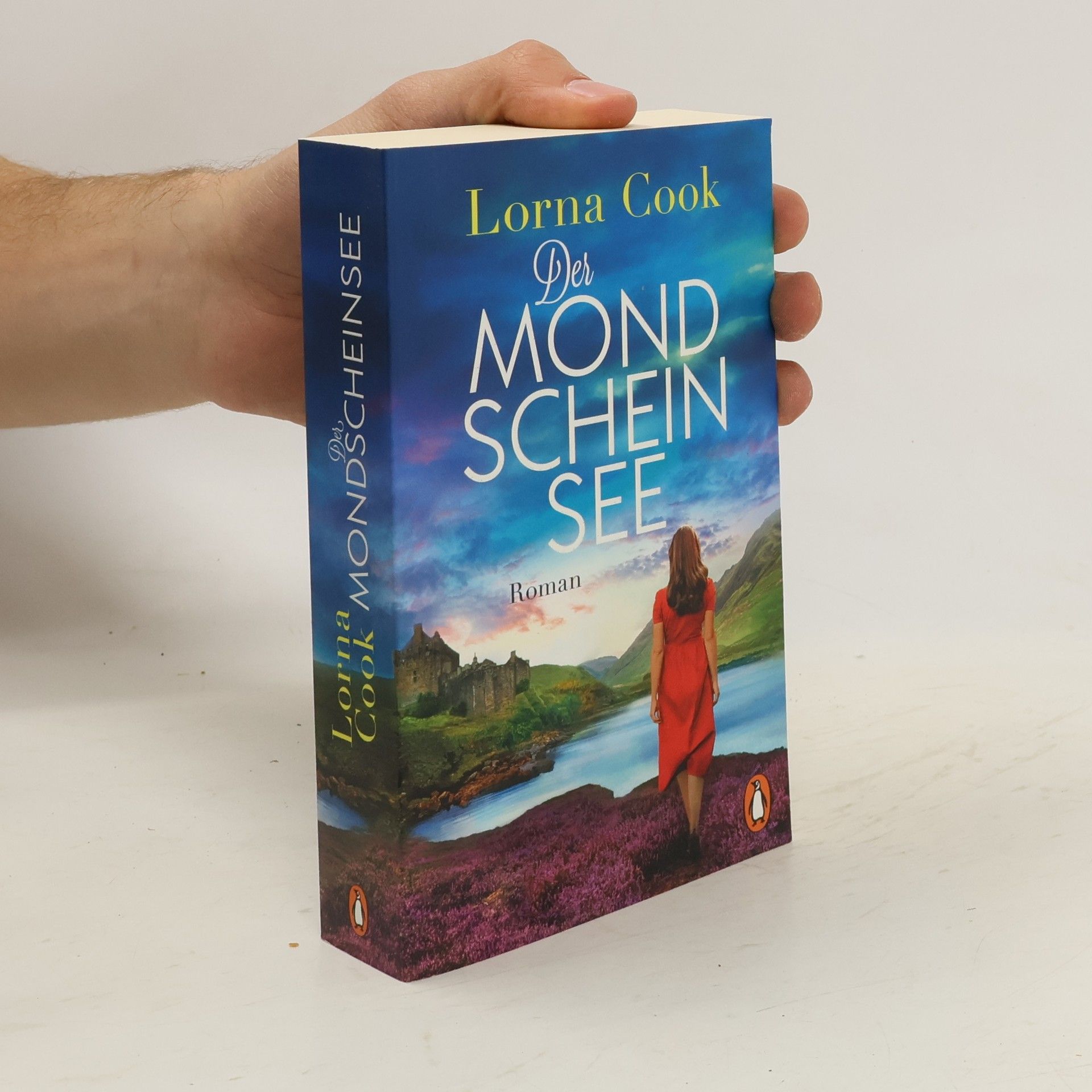 Lorna Cook Der Mondscheinsee