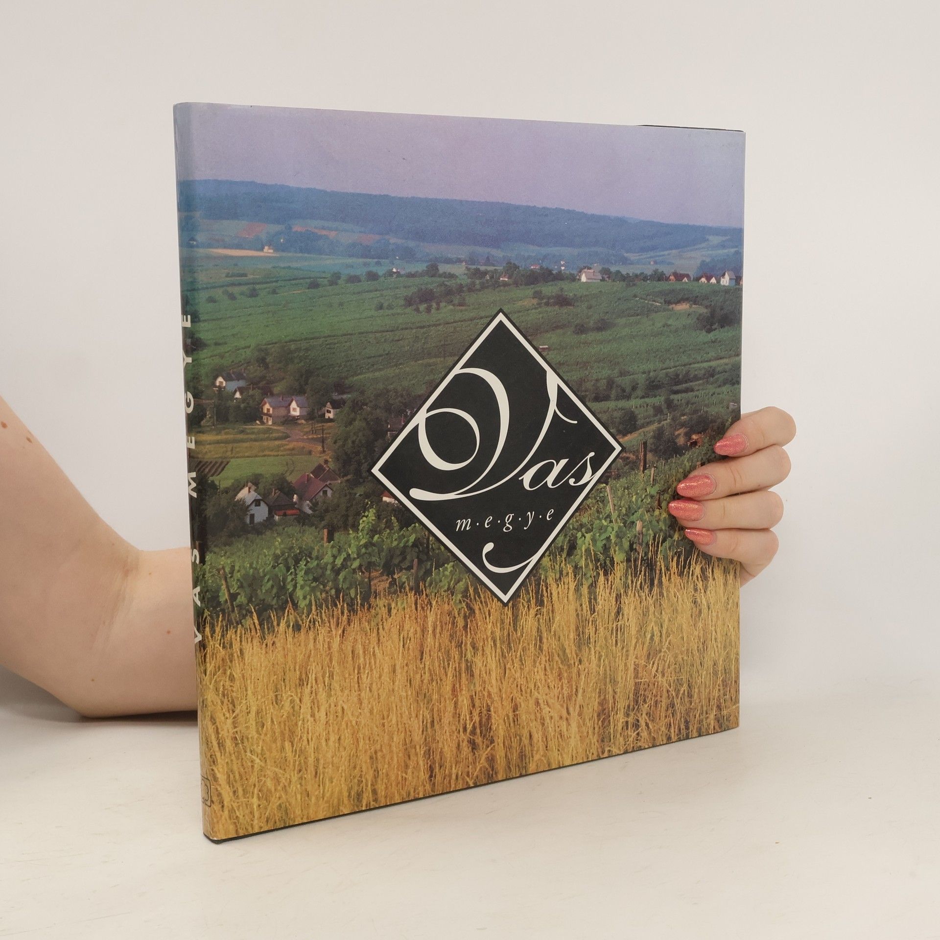 Balogh Károly Vas megye 1:200 000