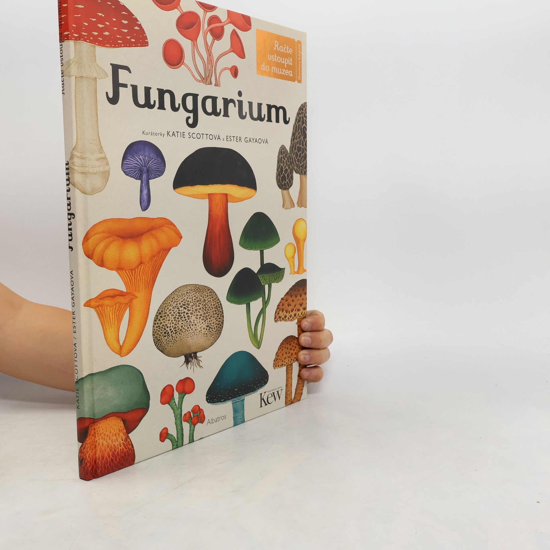 Lily Murray Fungarium