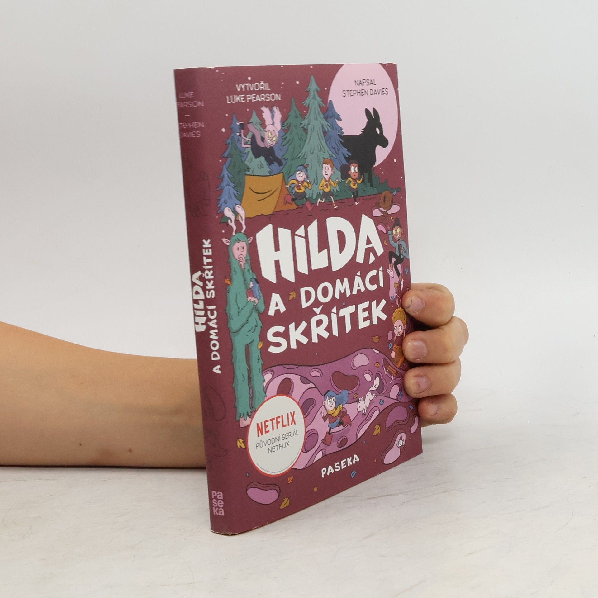 Stephen Davies Hilda a domácí skřítek