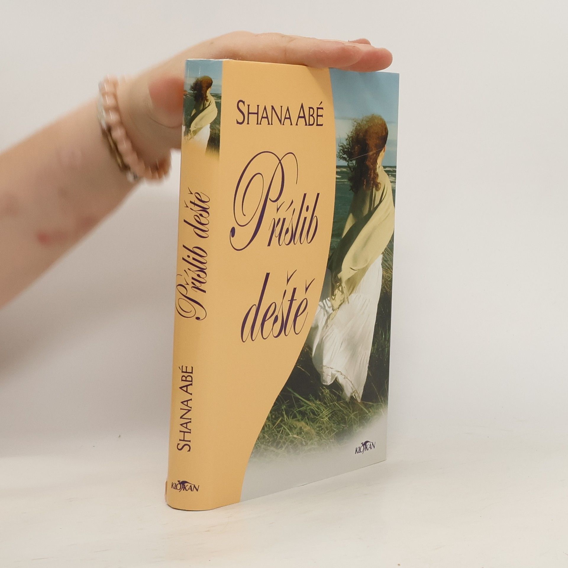 Shana Abé Příslib deště