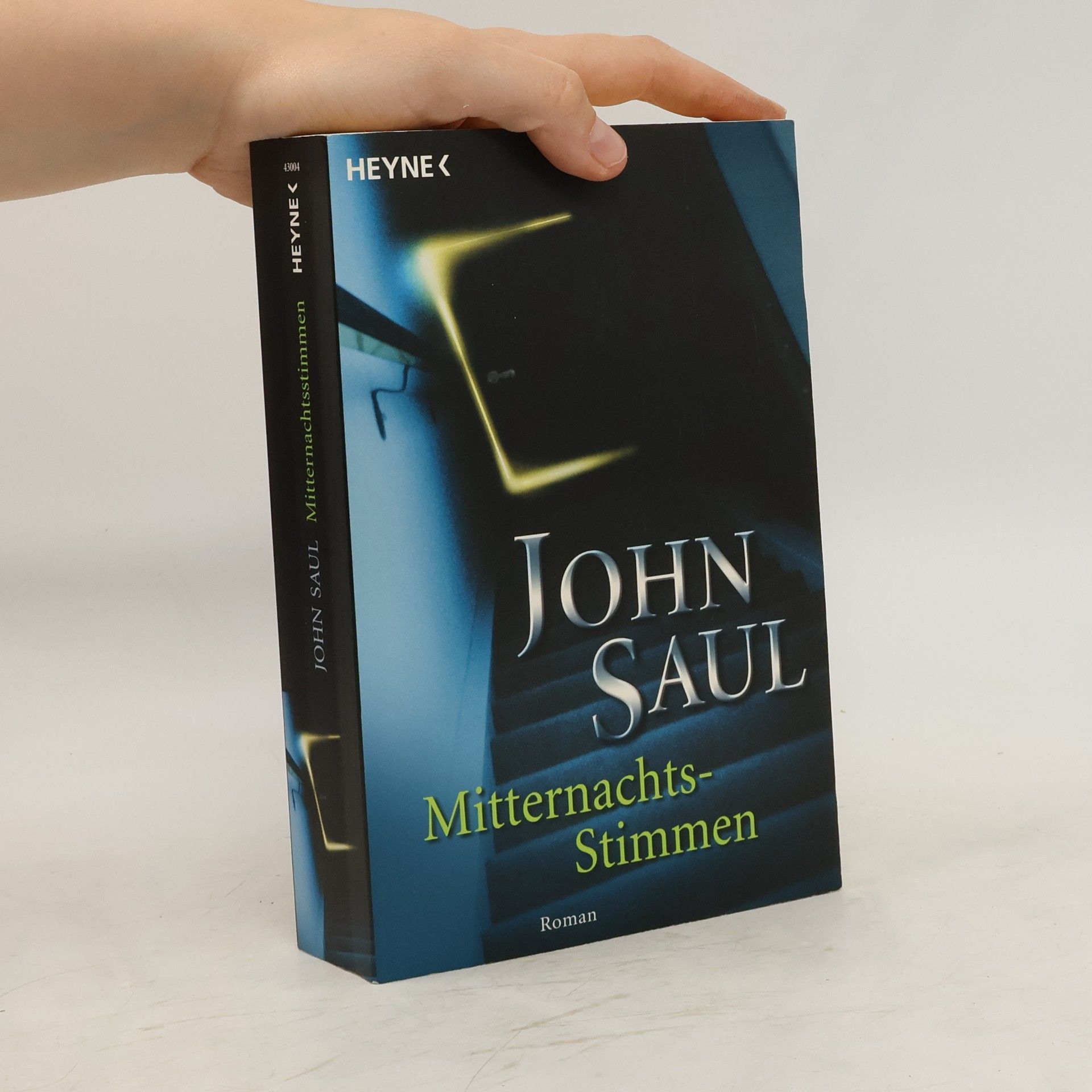 John Saul Mitternachtsstimmen