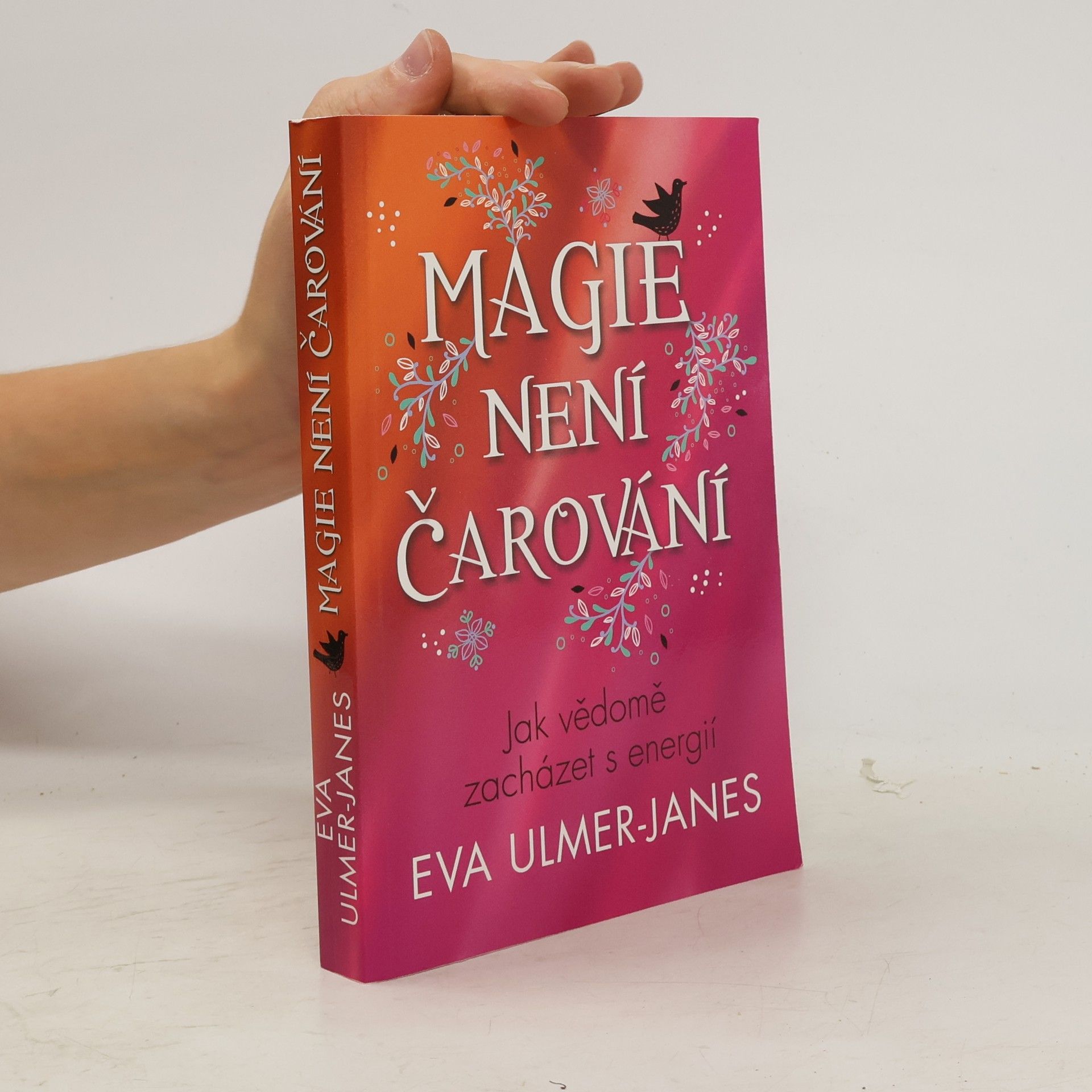 Eva Ulmer Janes Magie není čarování