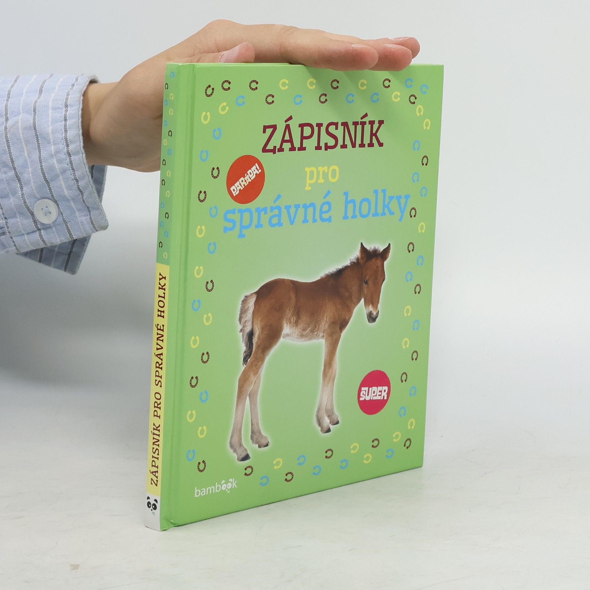 kolektiv Zápisník pro správné holky - Hříbátka