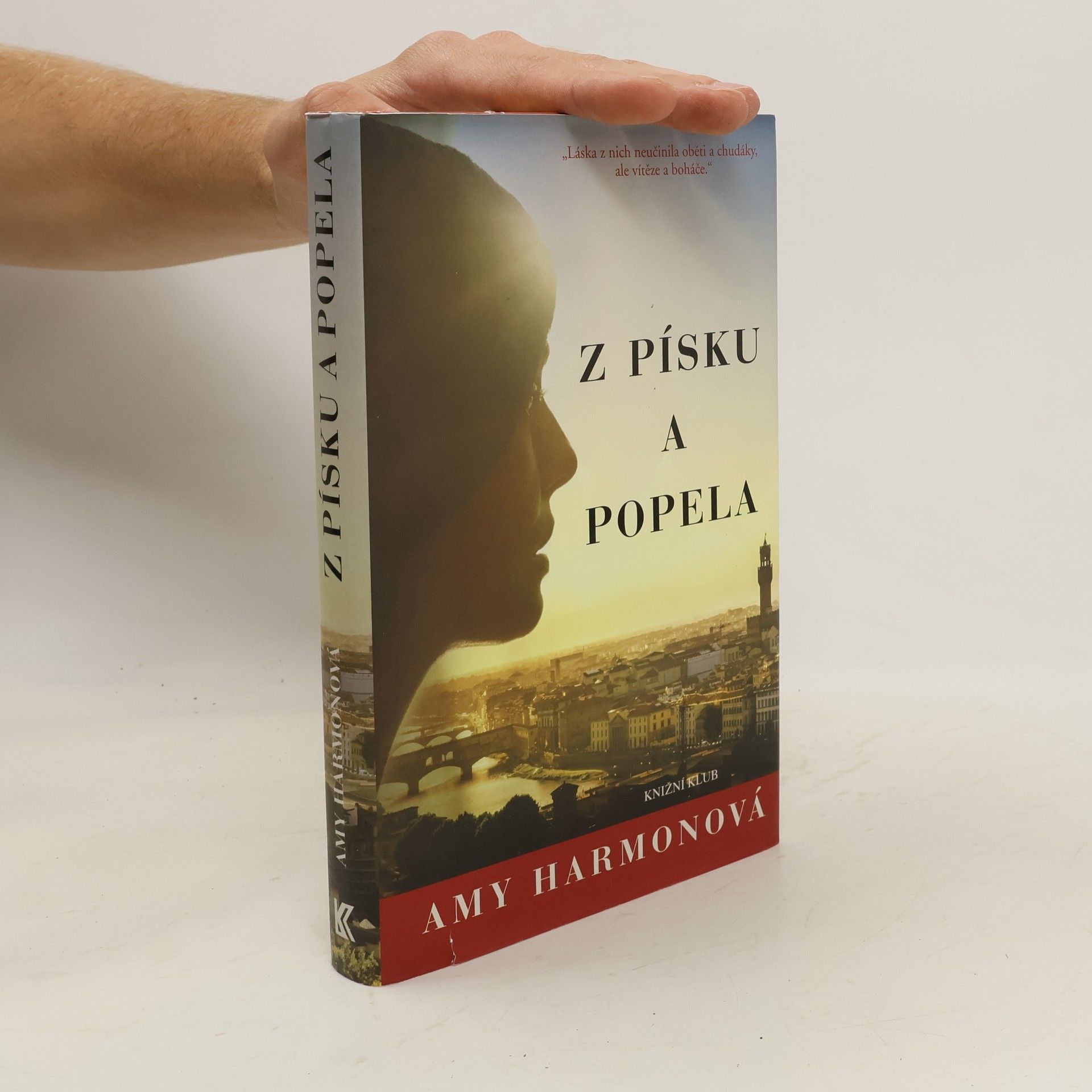Amy Harmon Z písku a popela