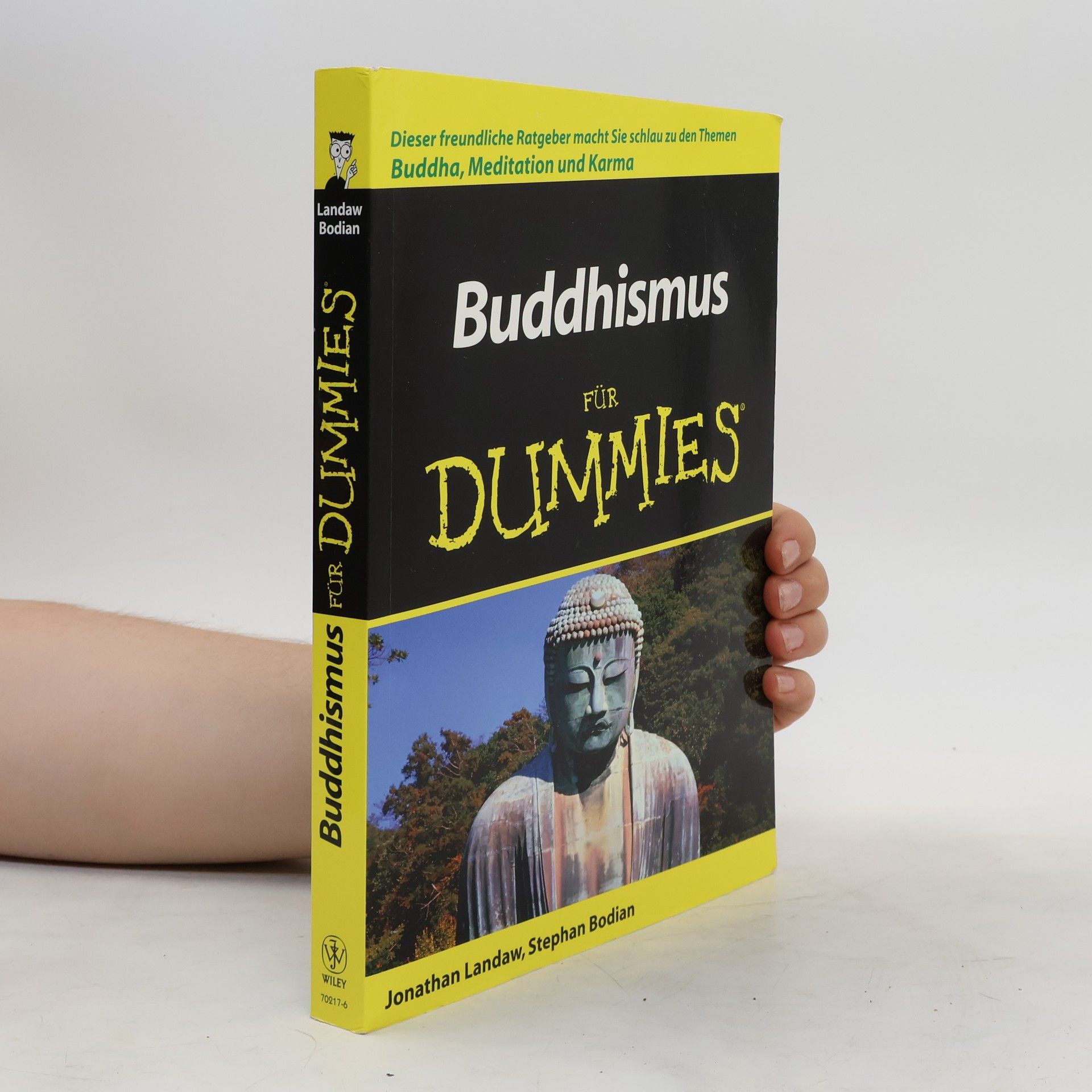 Jonathan Landaw Buddhismus für Dummies