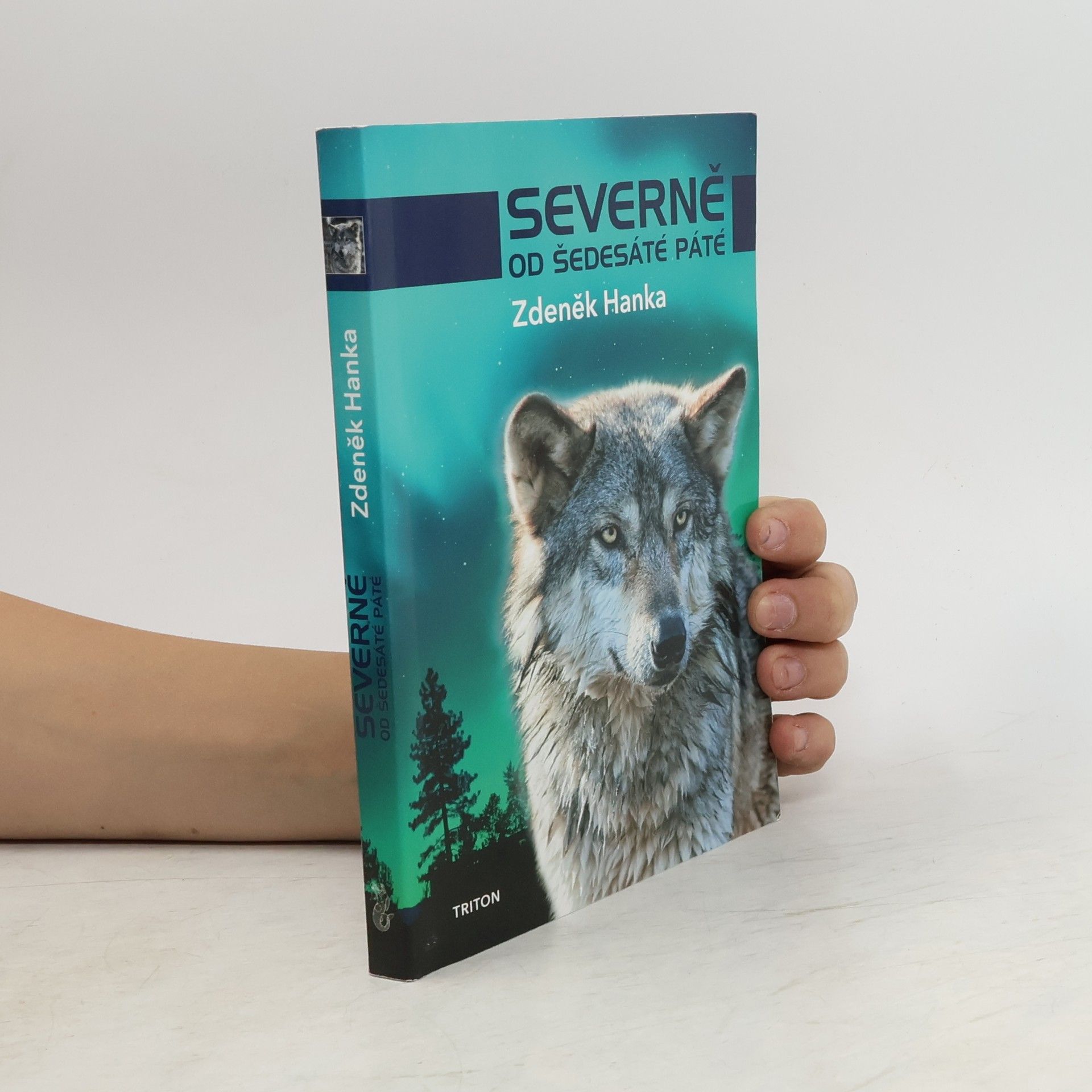 Zdeněk Hanka Severně od šedesáté páté