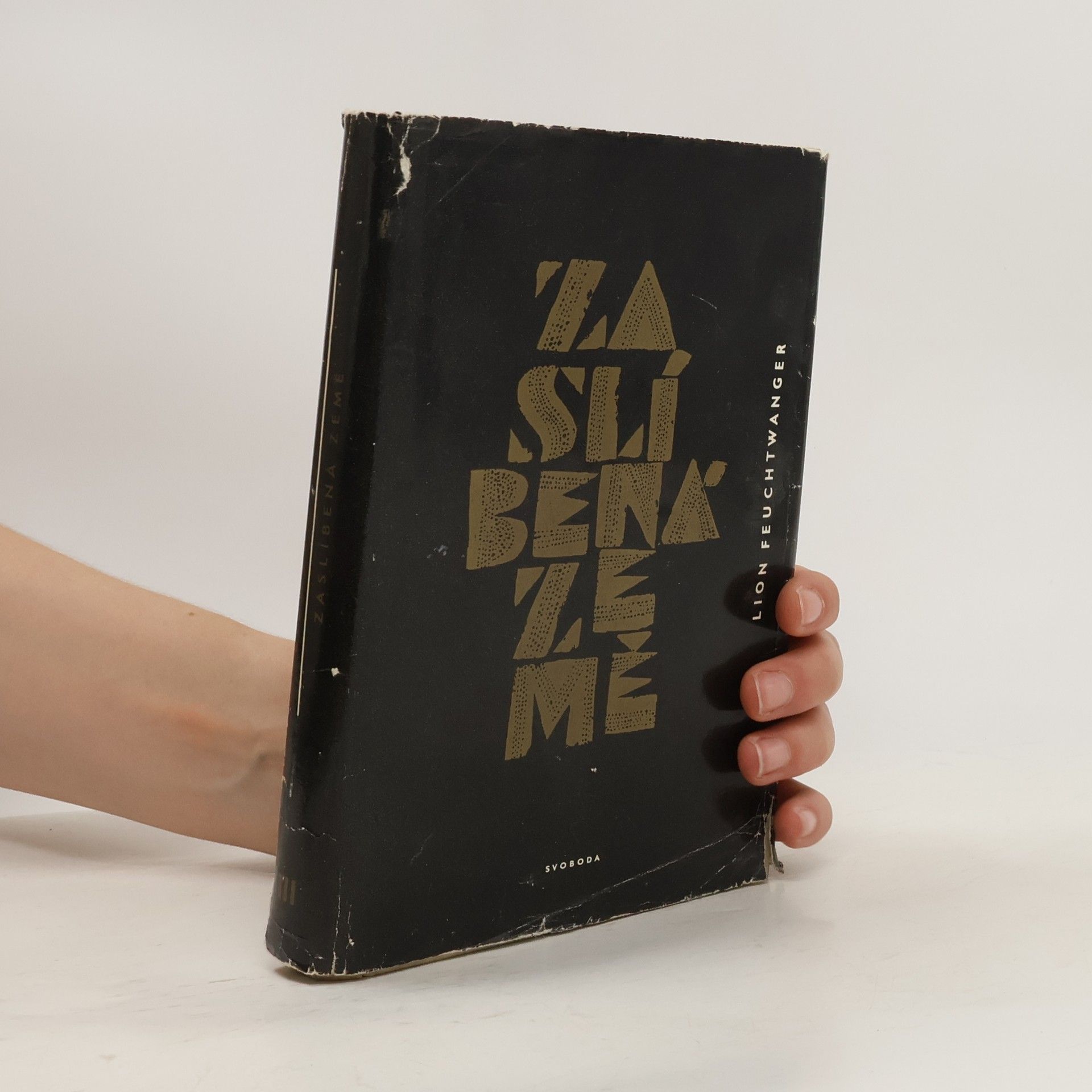 Lion Feuchtwanger Zaslíbená země. Třetí díl triologie. Josephus Flavius