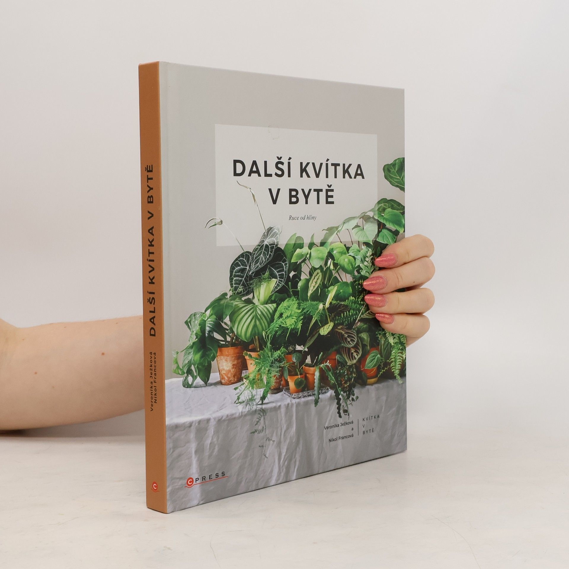 Veronika Ježková Další kvítka v bytě : Ruce od hlíny