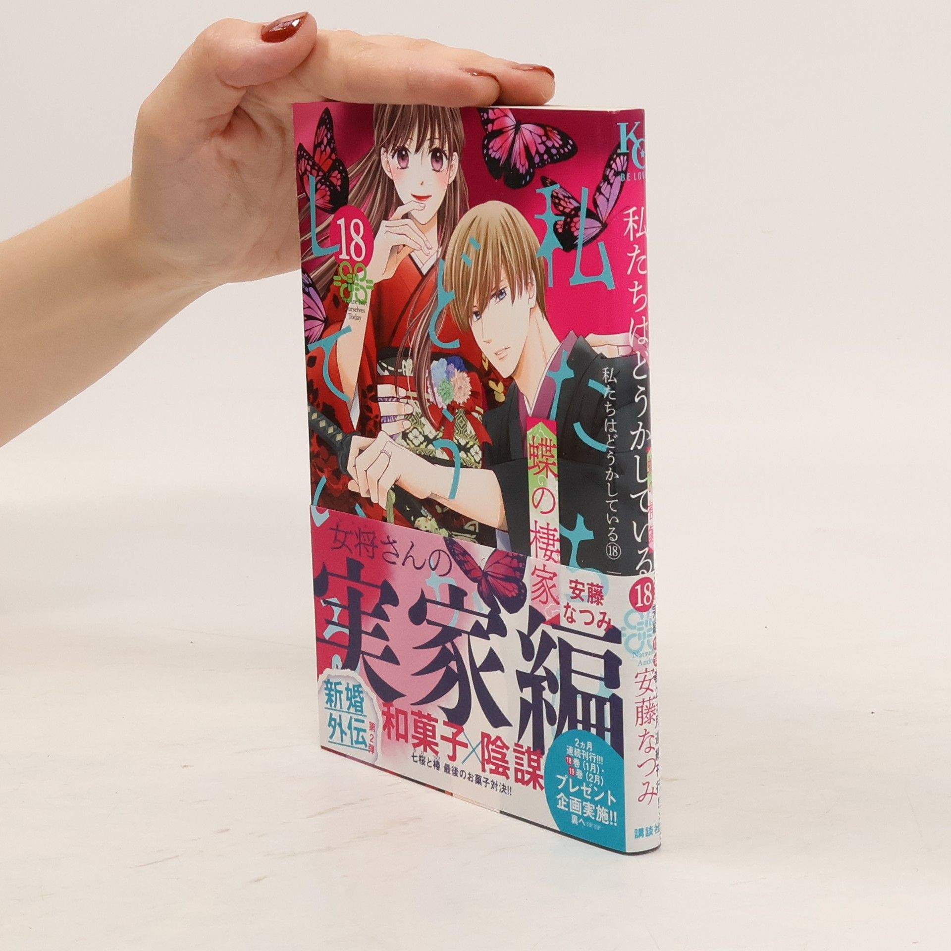 Natsumi Ando 私たちはどうかしている 18. 蝶の棲家