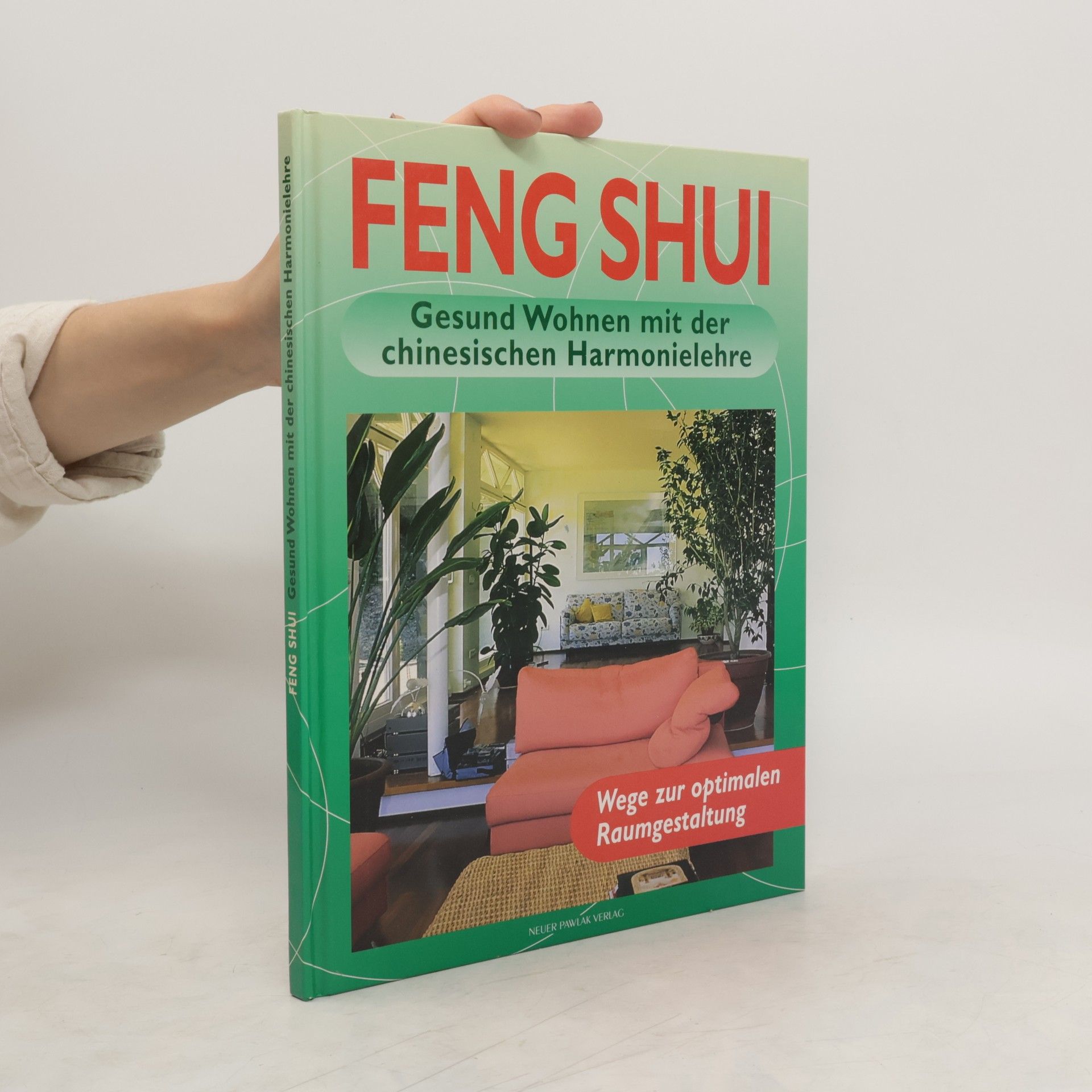 Georgia Schwarz Feng Shui