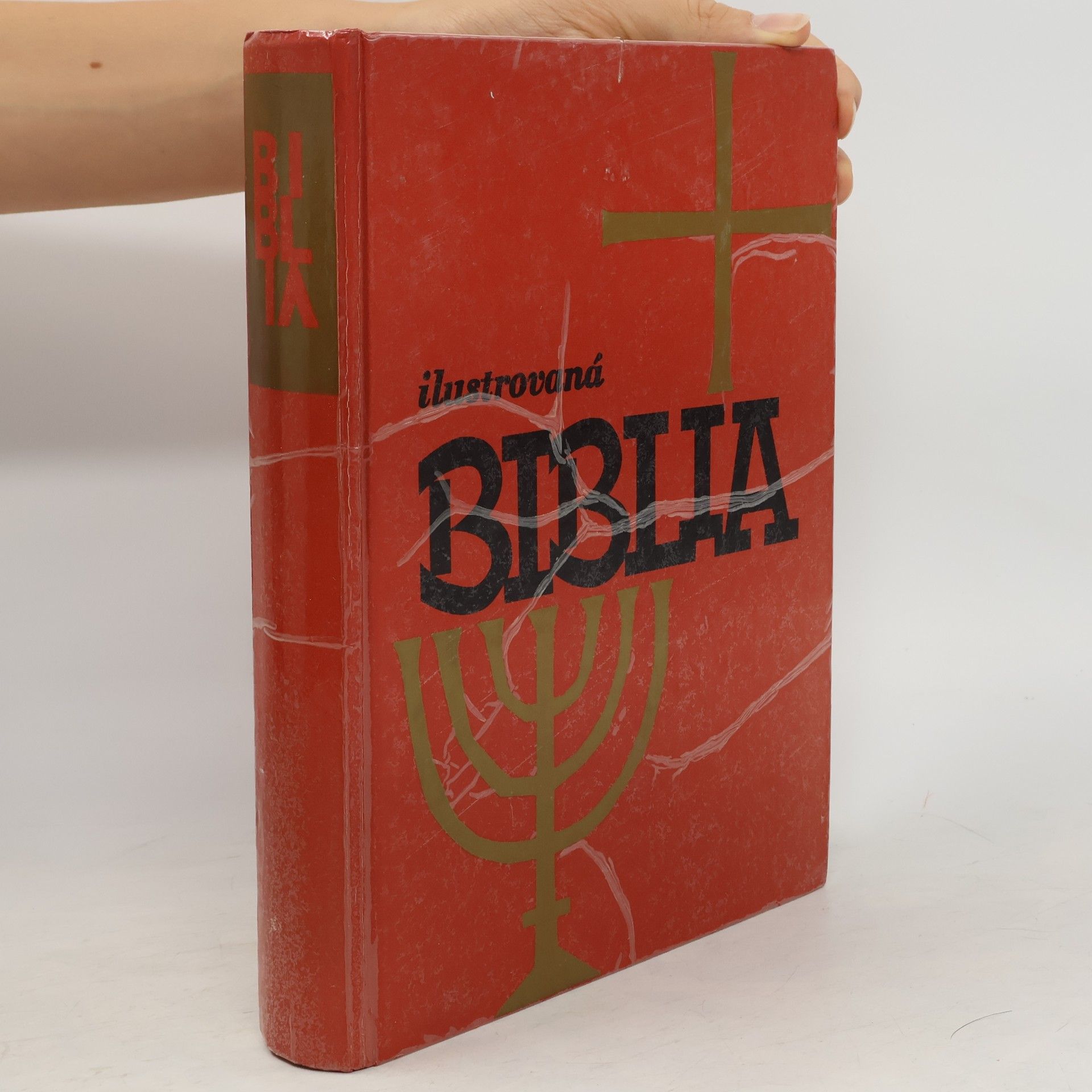 kolektiv Ilustrovaná biblia : Výber statí s farebnými obrázkami