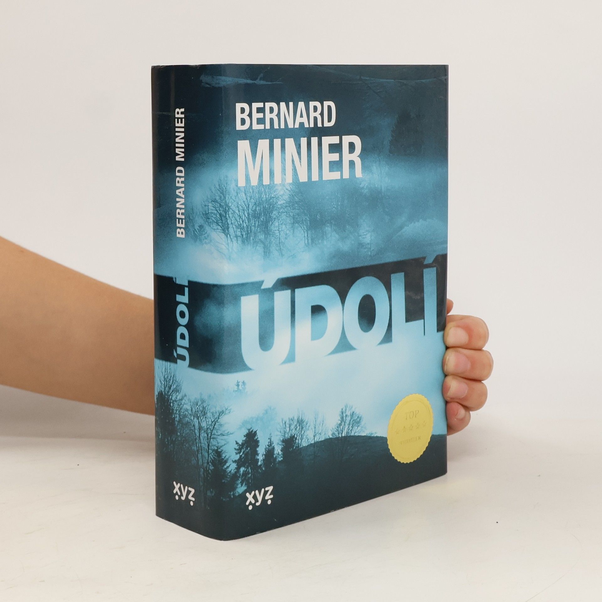 Bernard Minier Údolí