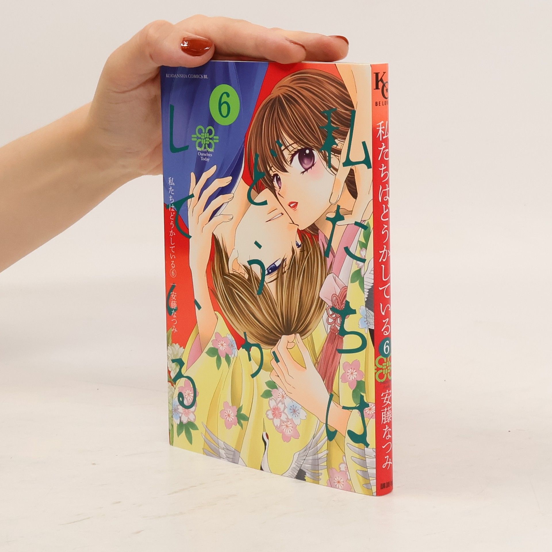 Natsumi Ando 私たちはどうかしている 6