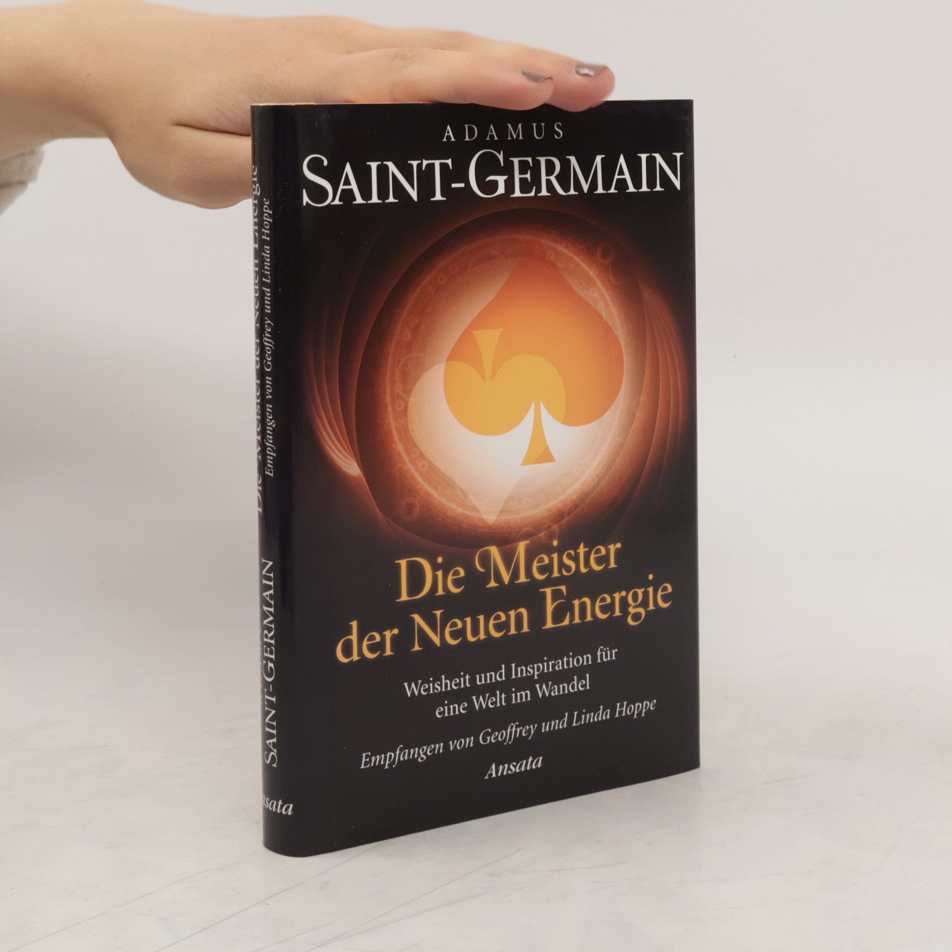 Geoffrey Hoppe Die Meister der neuen Energie