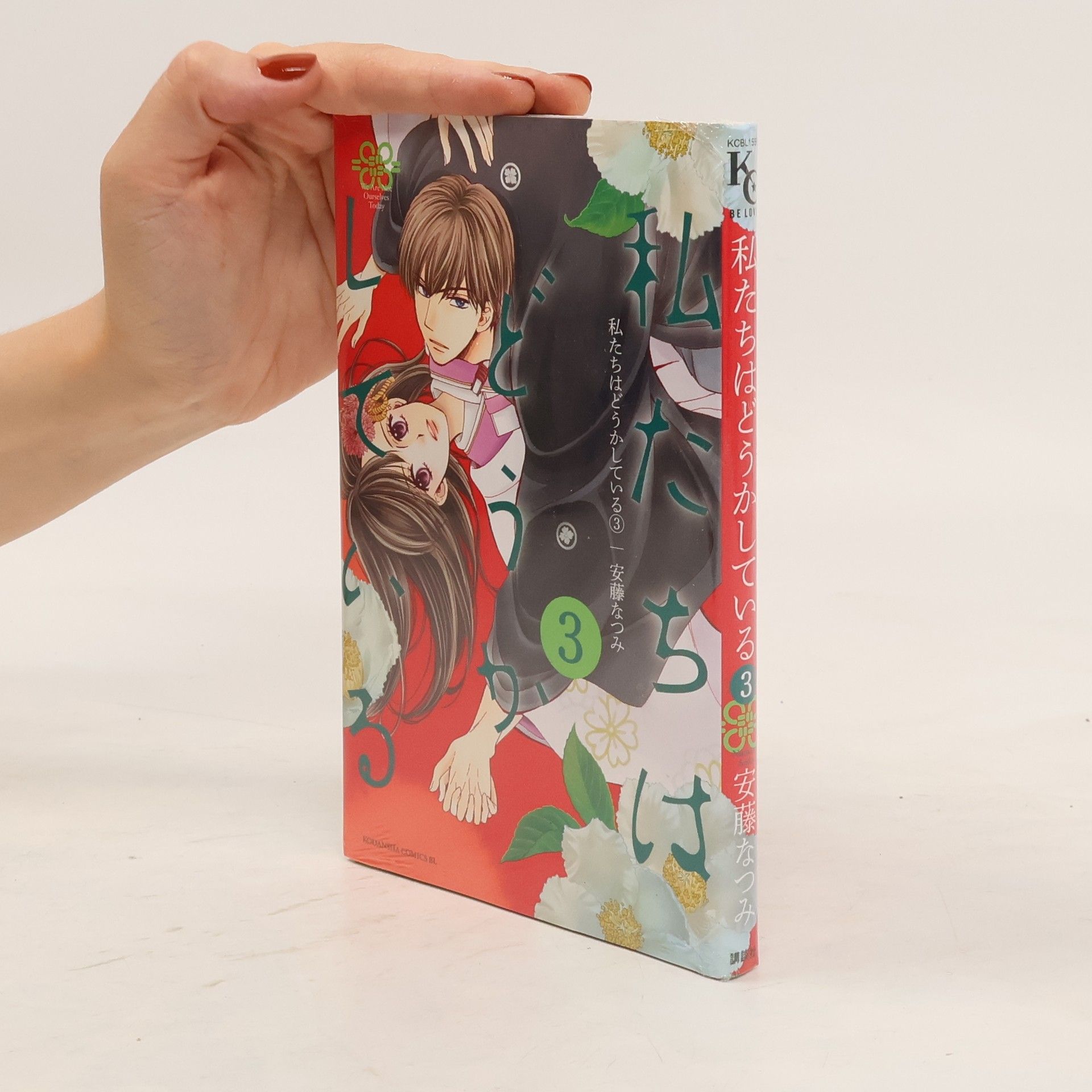 Natsumi Ando 私たちはどうかしている 3