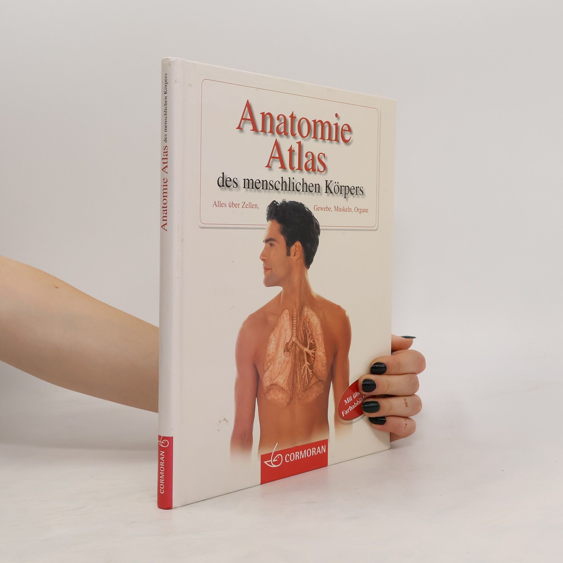 Vanio Vannini Anatomie-Atlas des menschlichen Körpers