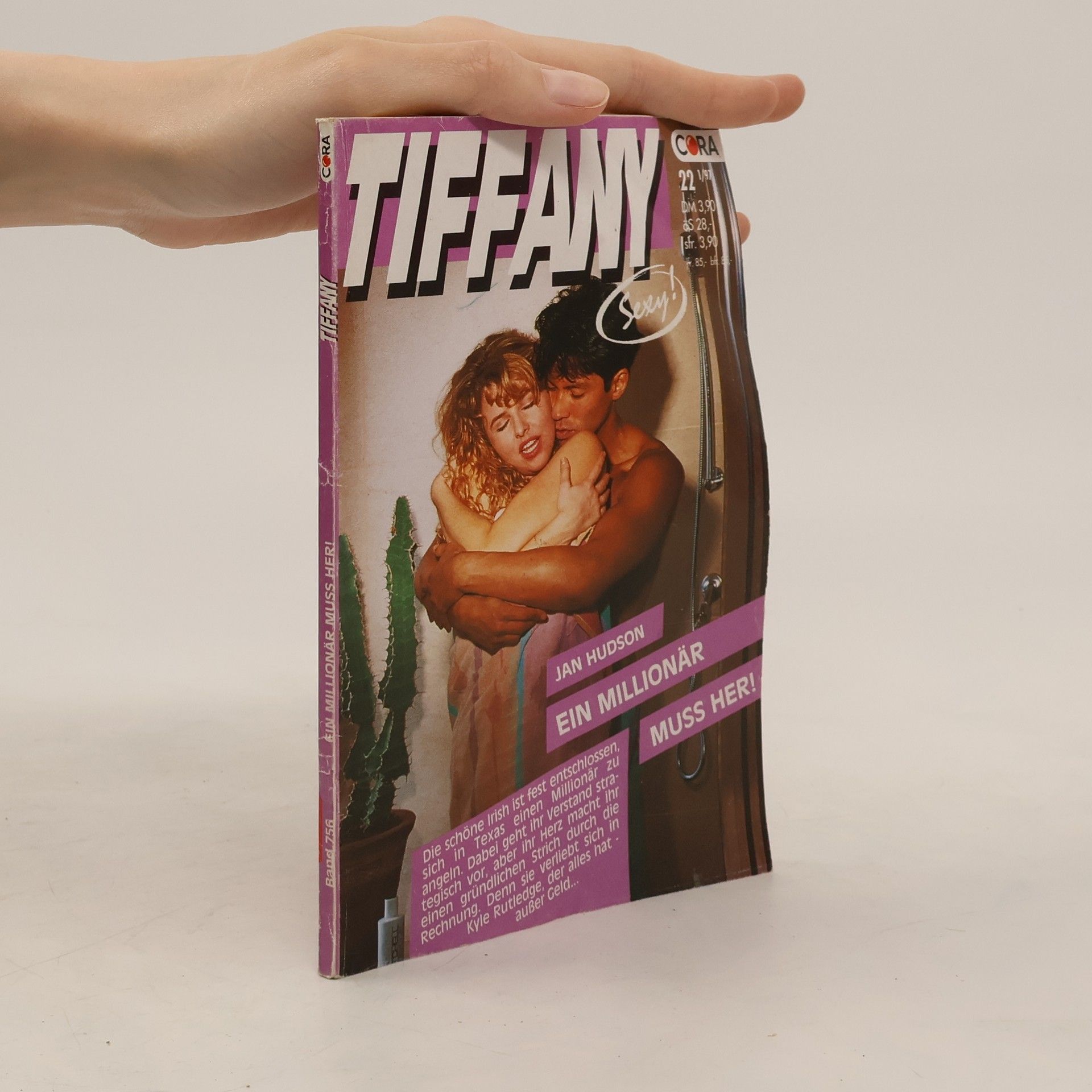 Jan Hudson Tiffany 22. Ein Millionär muss her!