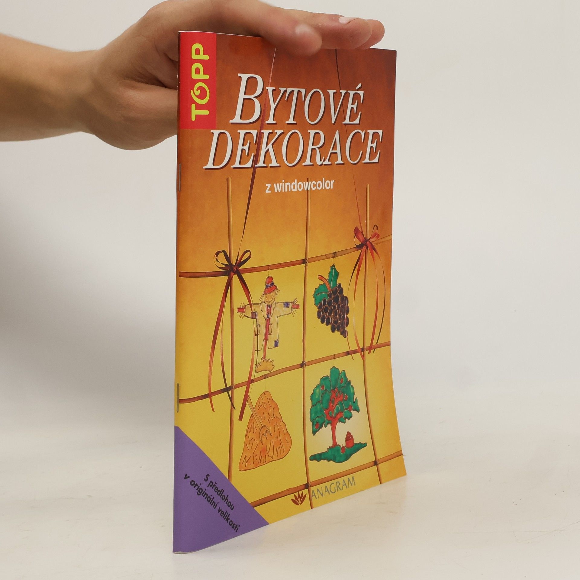 Collective Bytové dekorace z windowcolor