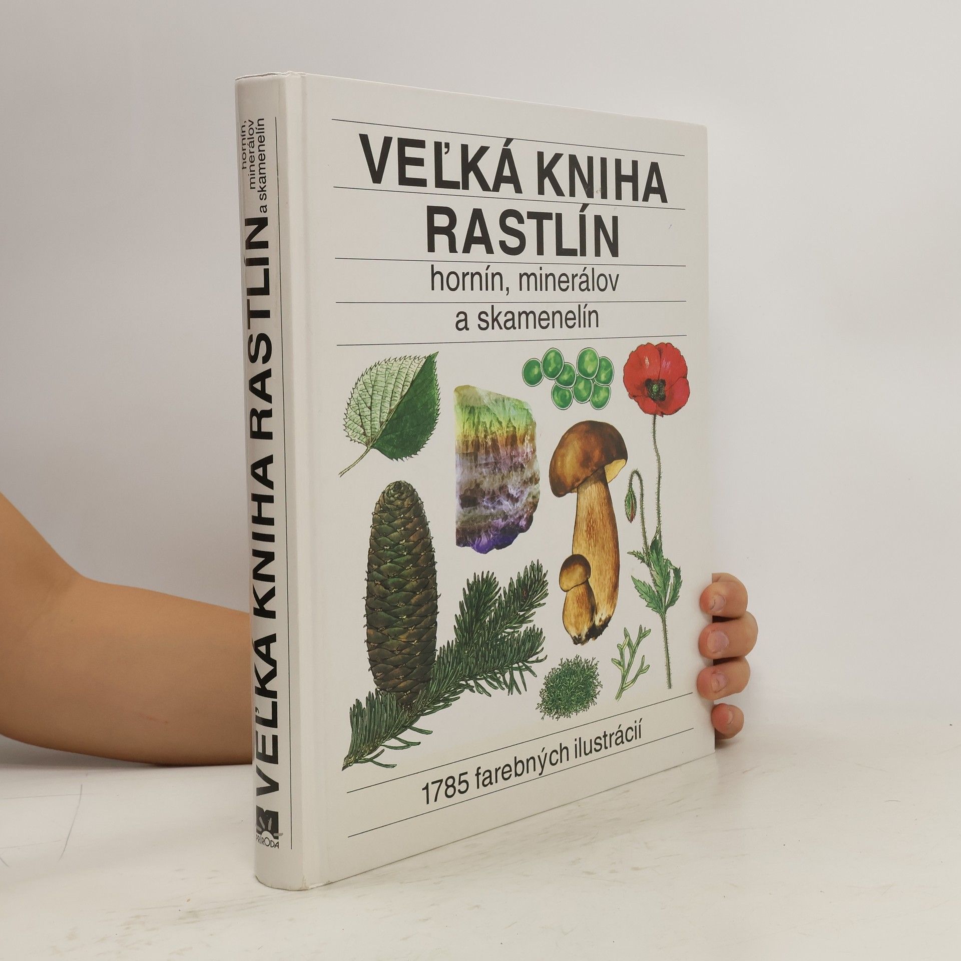 Collective Veľká kniha rastlín, hornín, minerálov a skamenelín