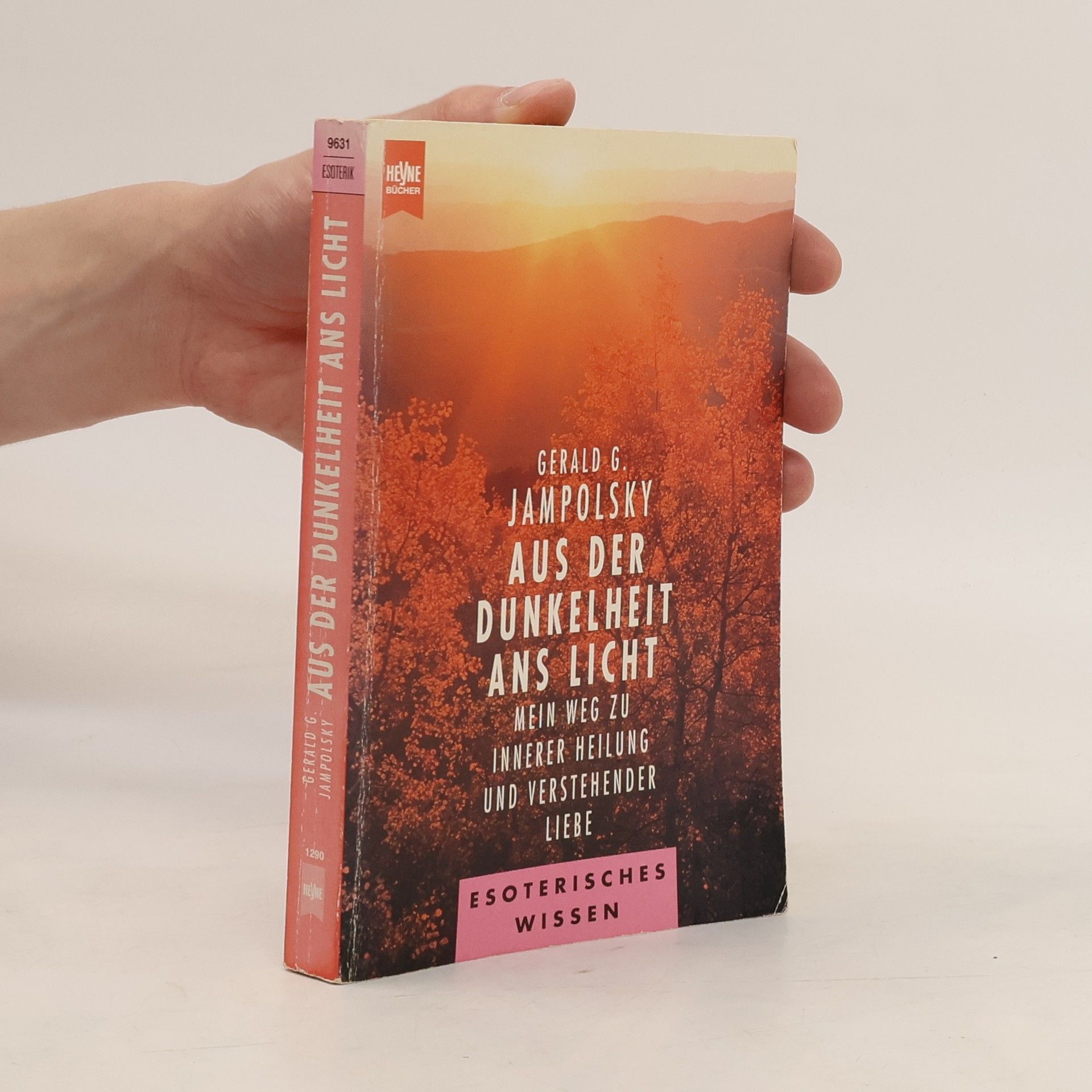 Gerald G. Jampolsky Aus der Dunkelheit ans Licht