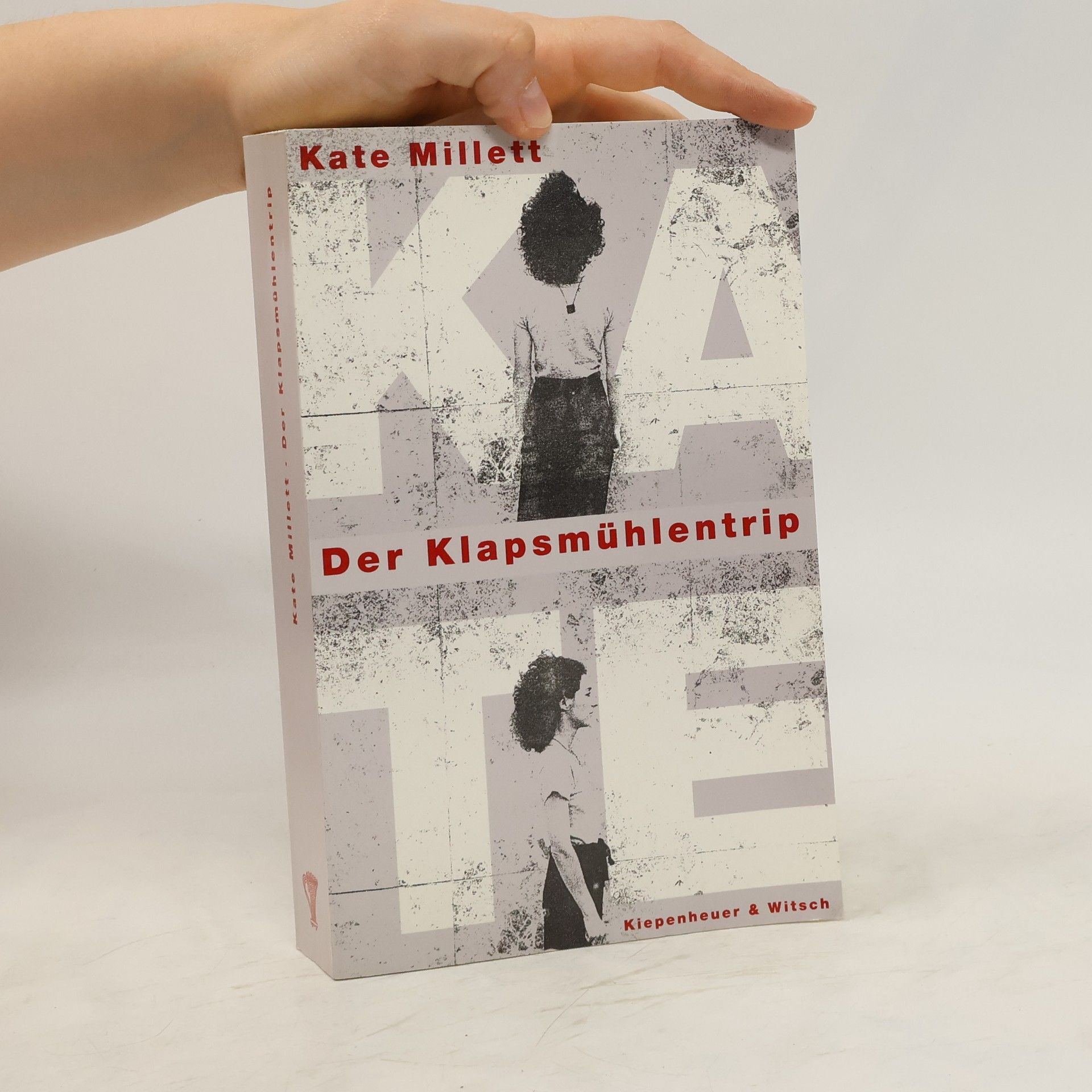 Kate Millett Der Klapsmühlentrip