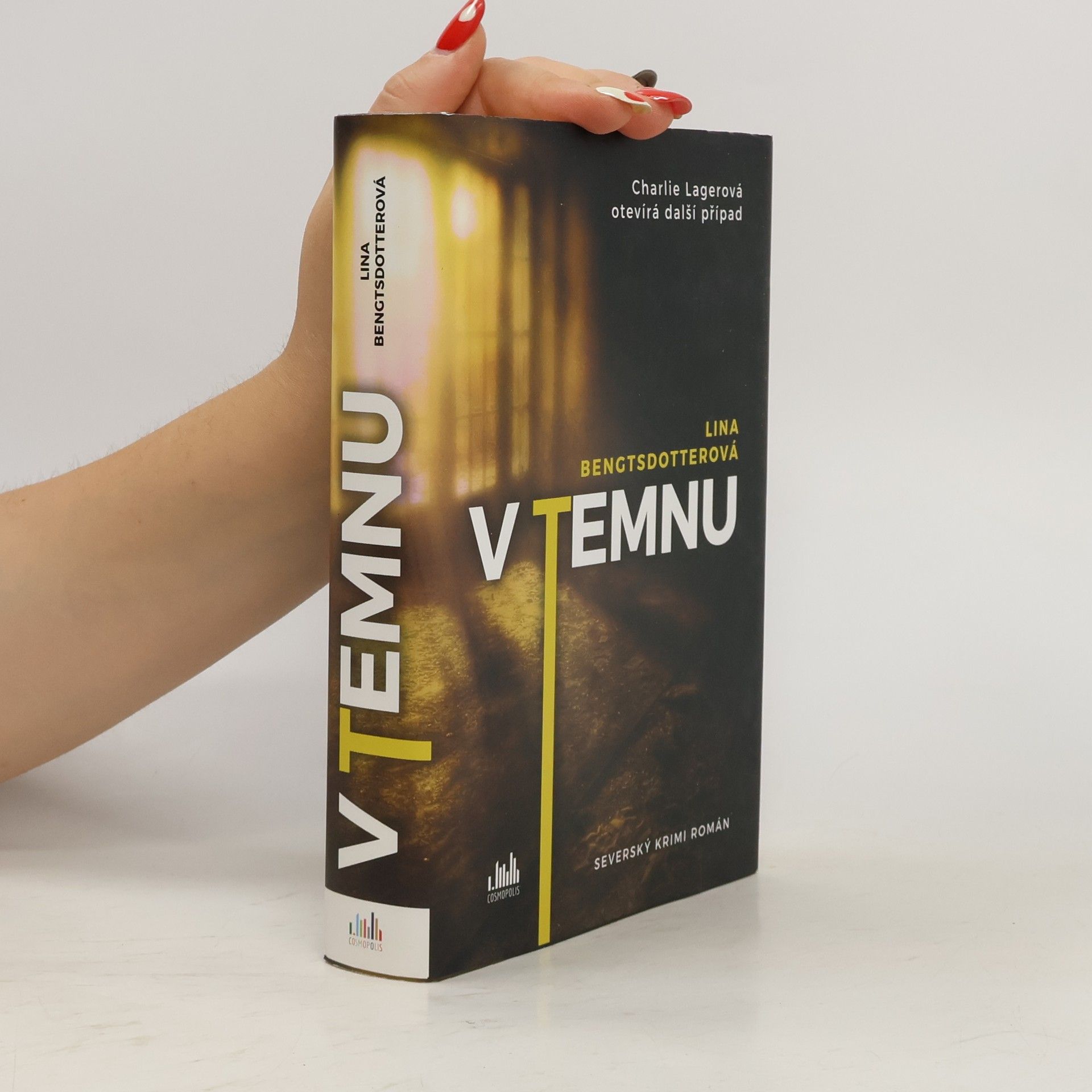 Lina Bengtsdotter V temnu