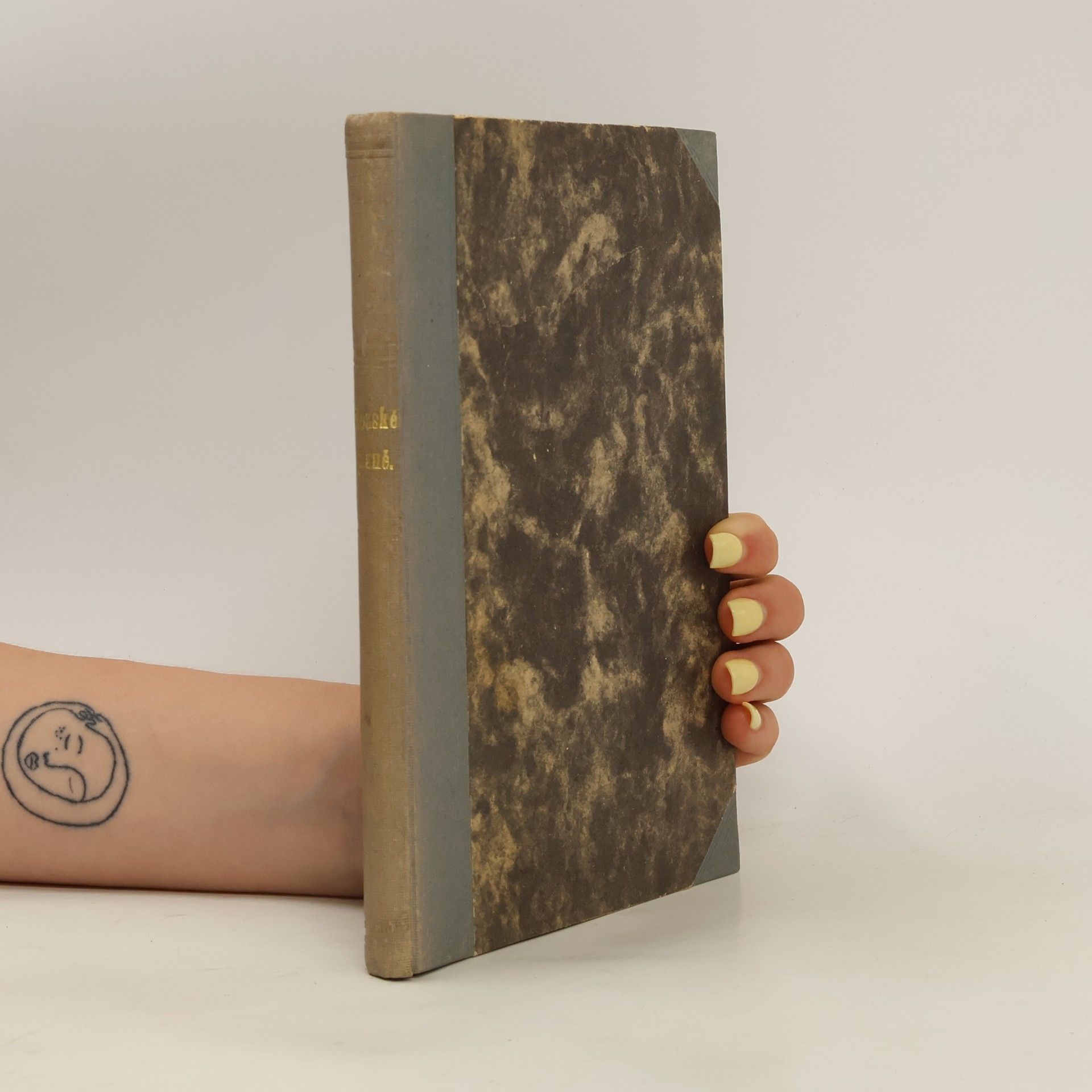 Collectif d'auteurs Slezské písně