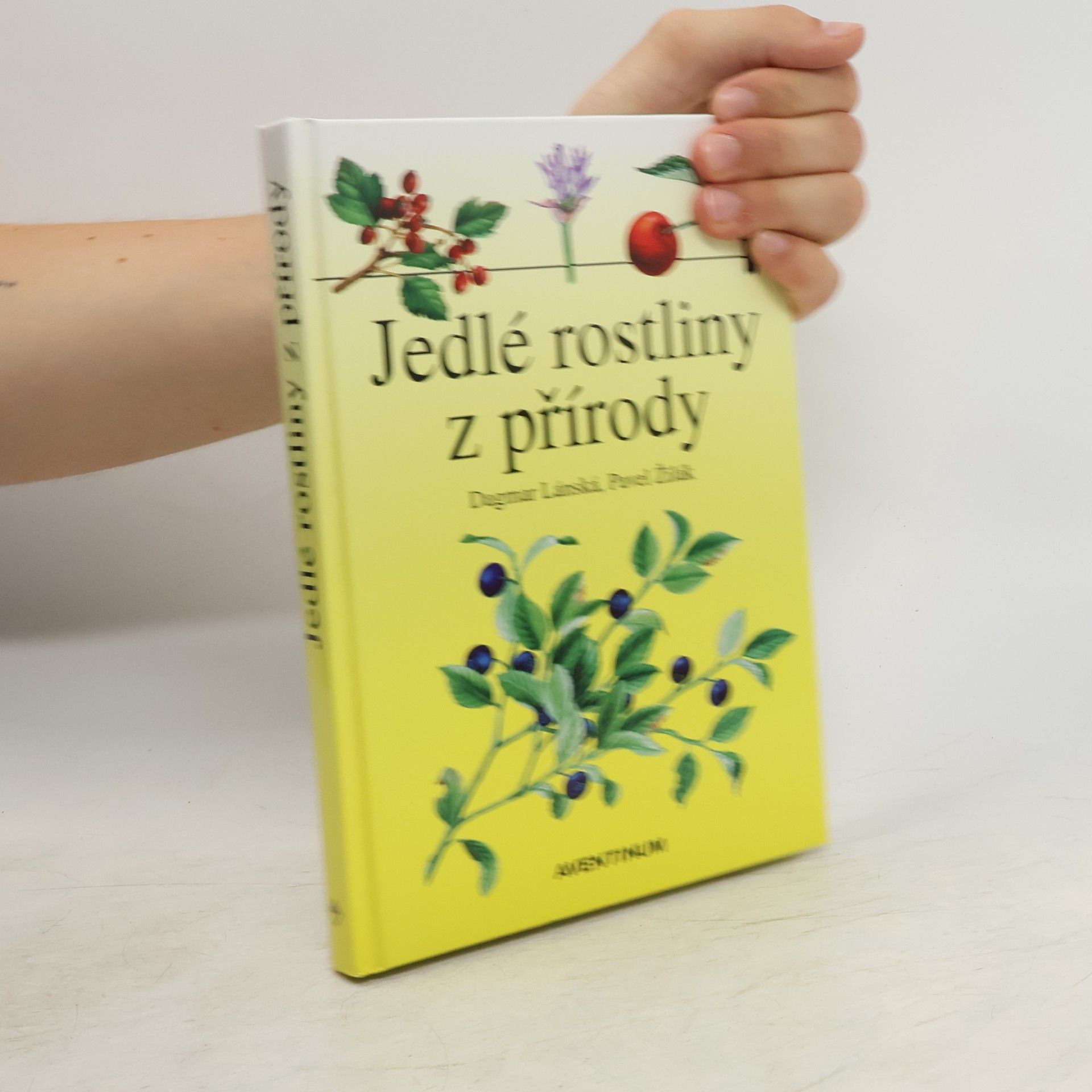 Dagmar Lánská Jedlé rostliny z přírody