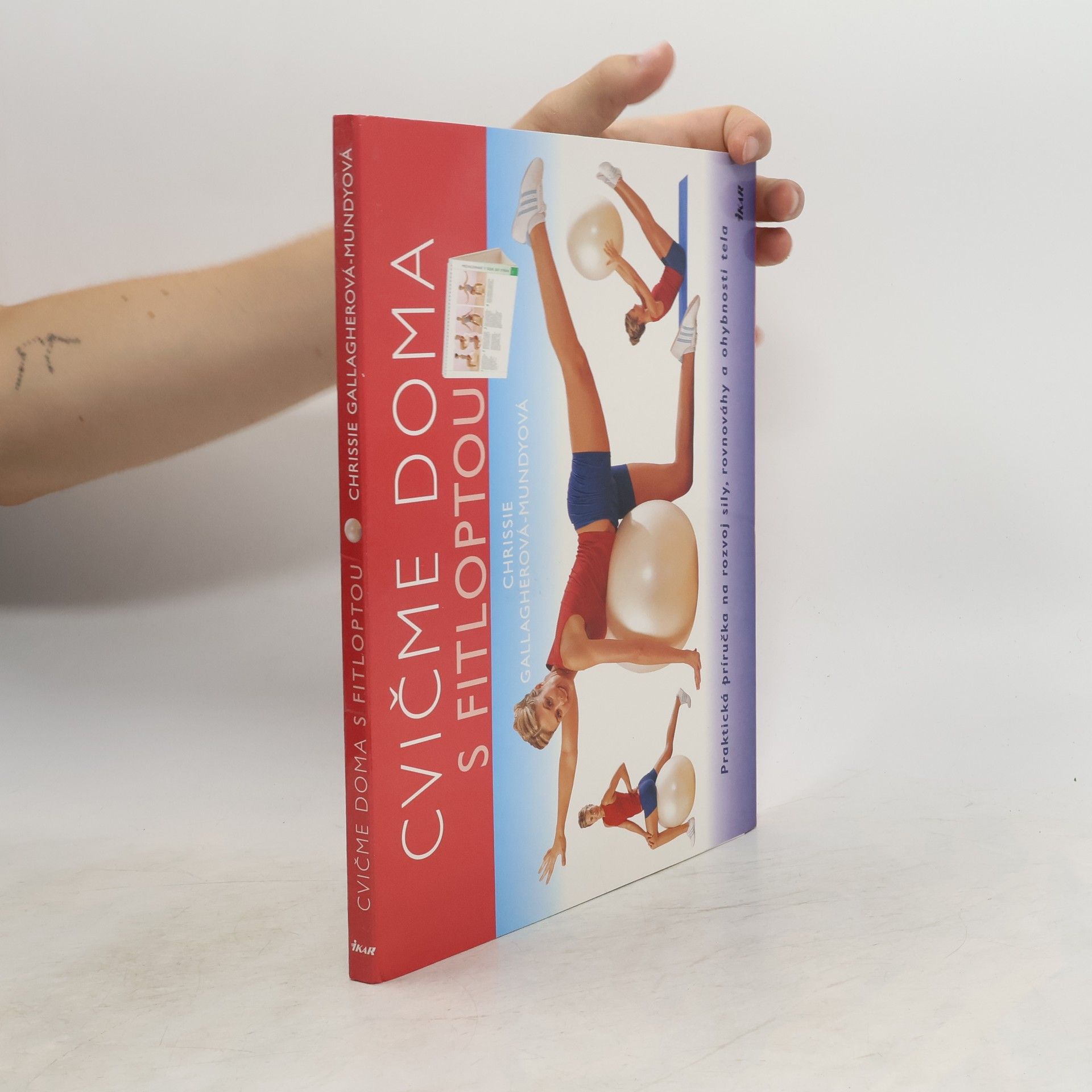 Chrissie Gallagher Mundy Cvičíme doma s fitloptou