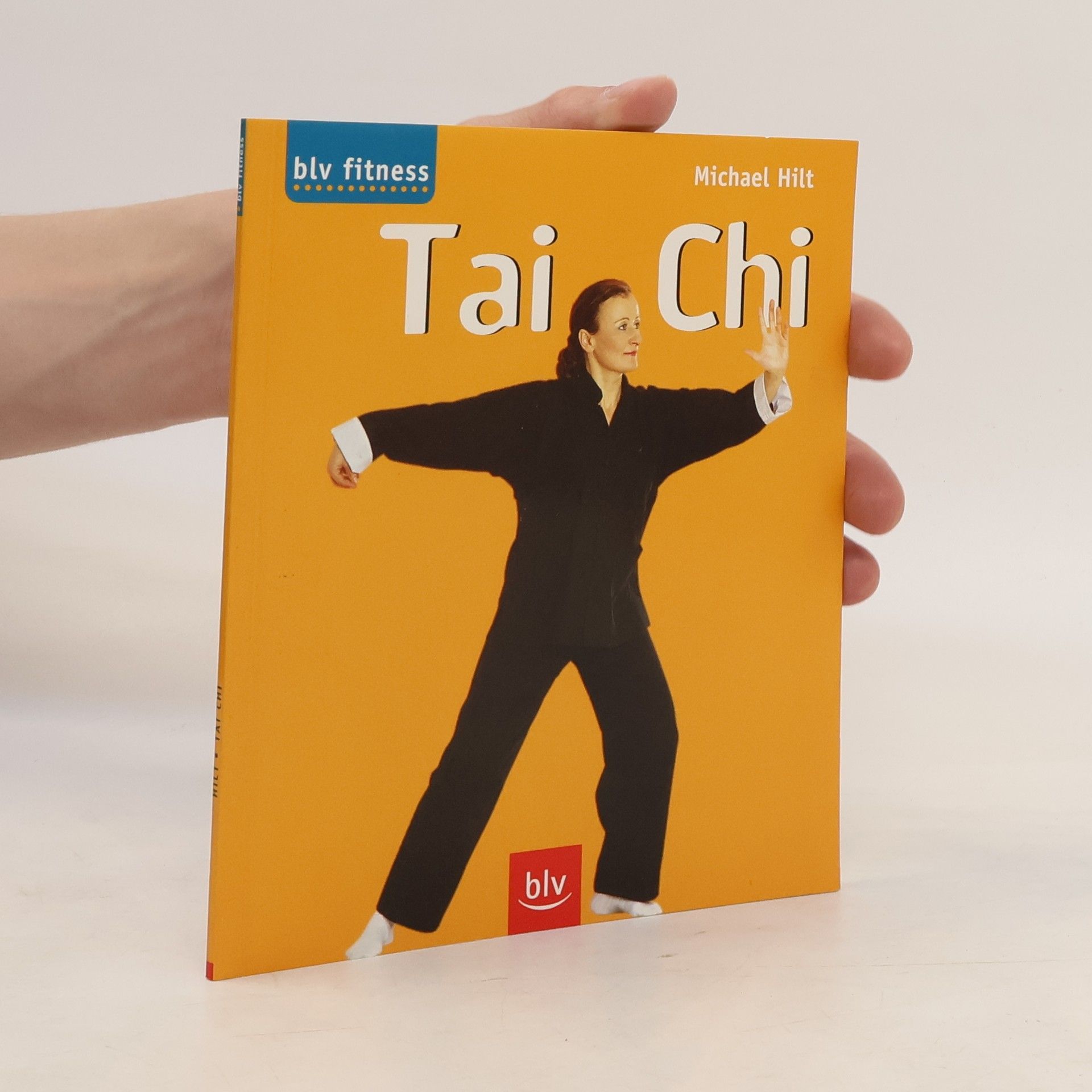 Michael Hilt Tai Chi
