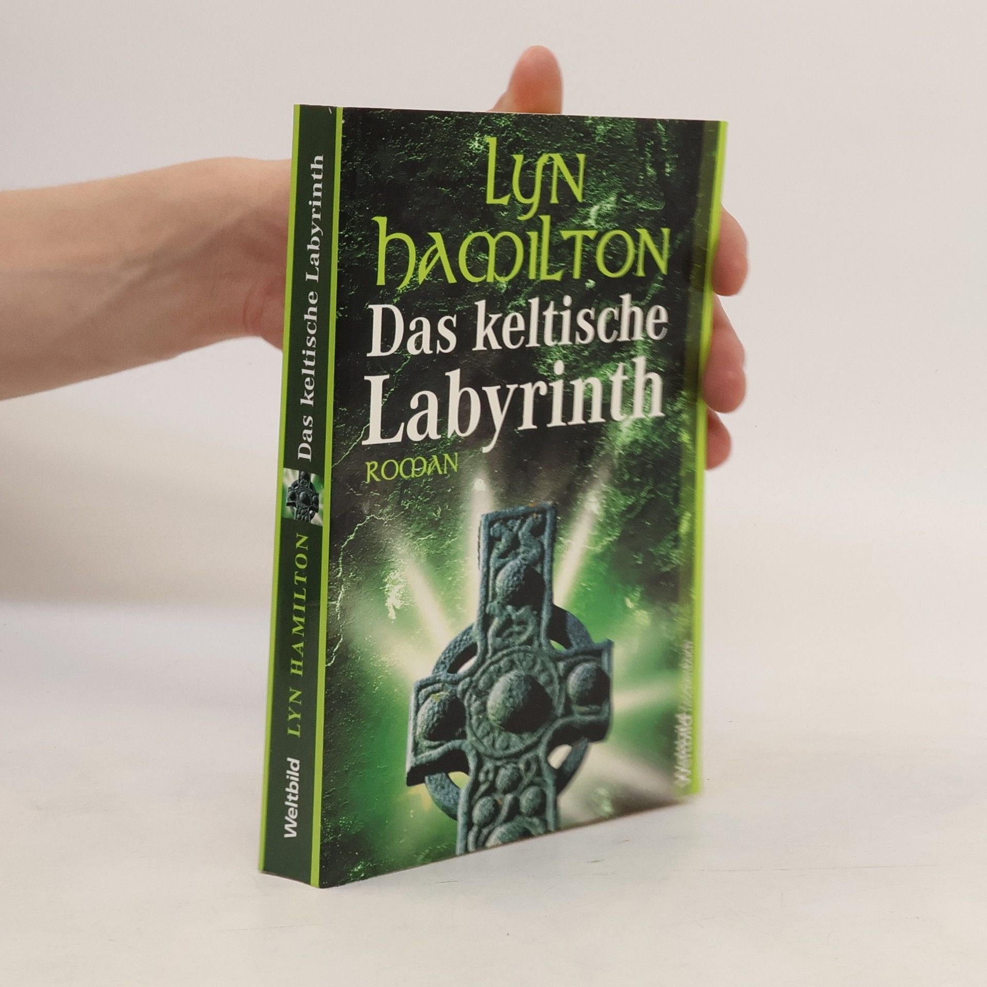 Lyn Hamilton Das keltische Labyrinth