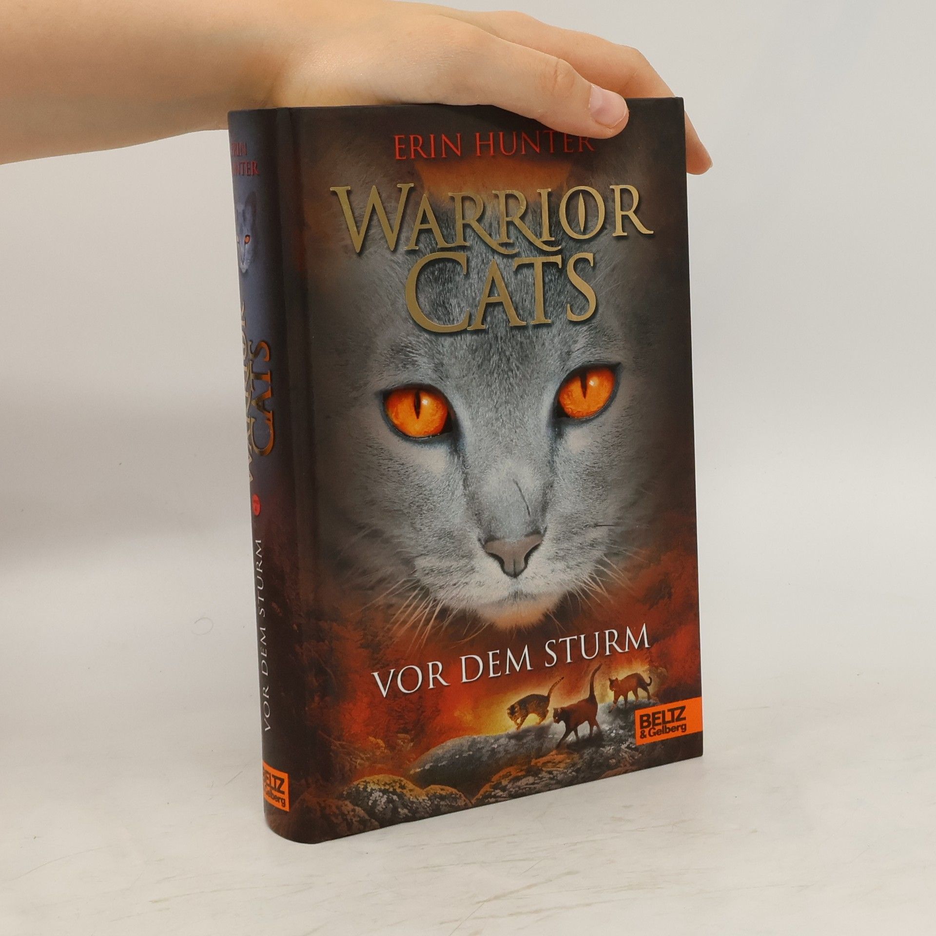 Erin Hunter Warrior cats. Vor dem Sturm
